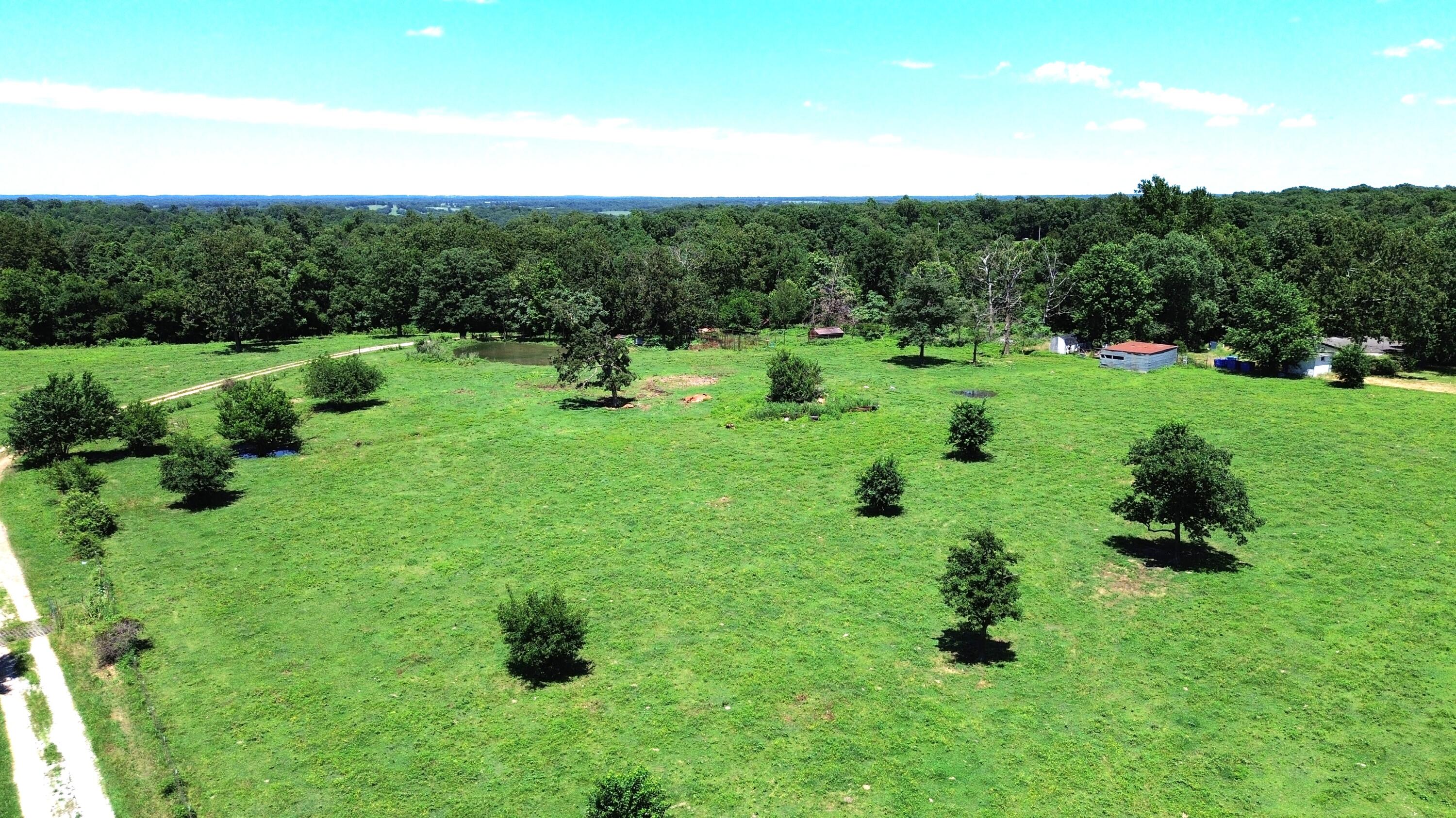 513 Stone Road Property Photo 18