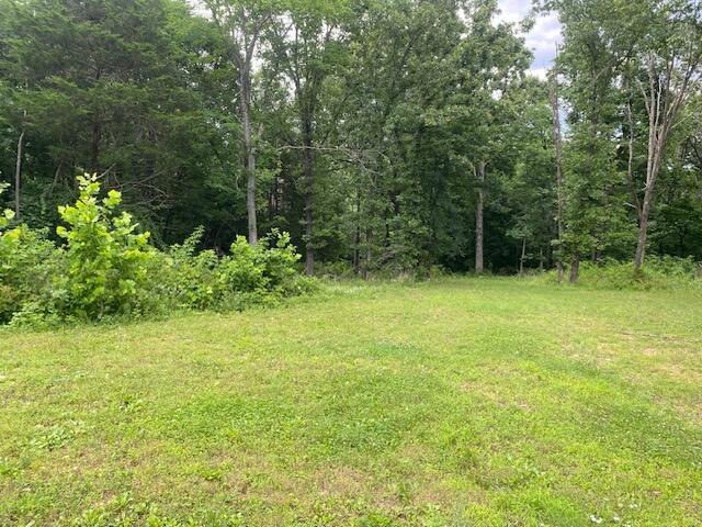503 Hilltop Lane Property Photo 29
