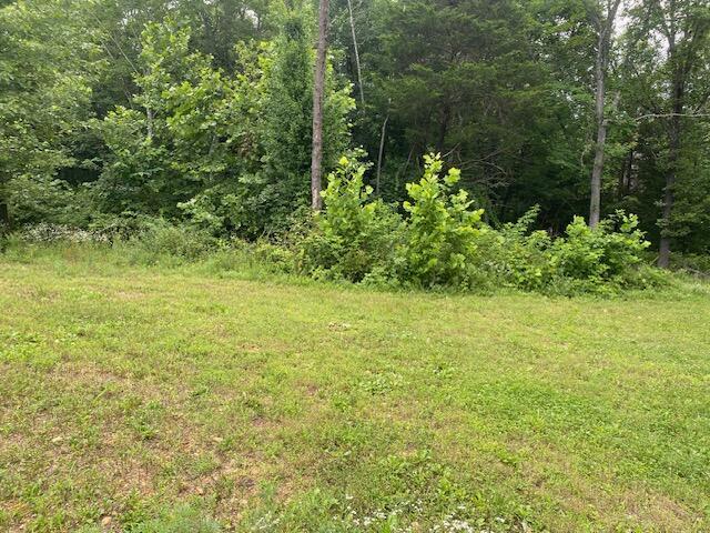 503 Hilltop Lane Property Photo 30