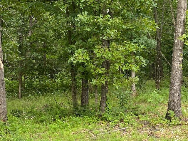 503 Hilltop Lane Property Photo 31