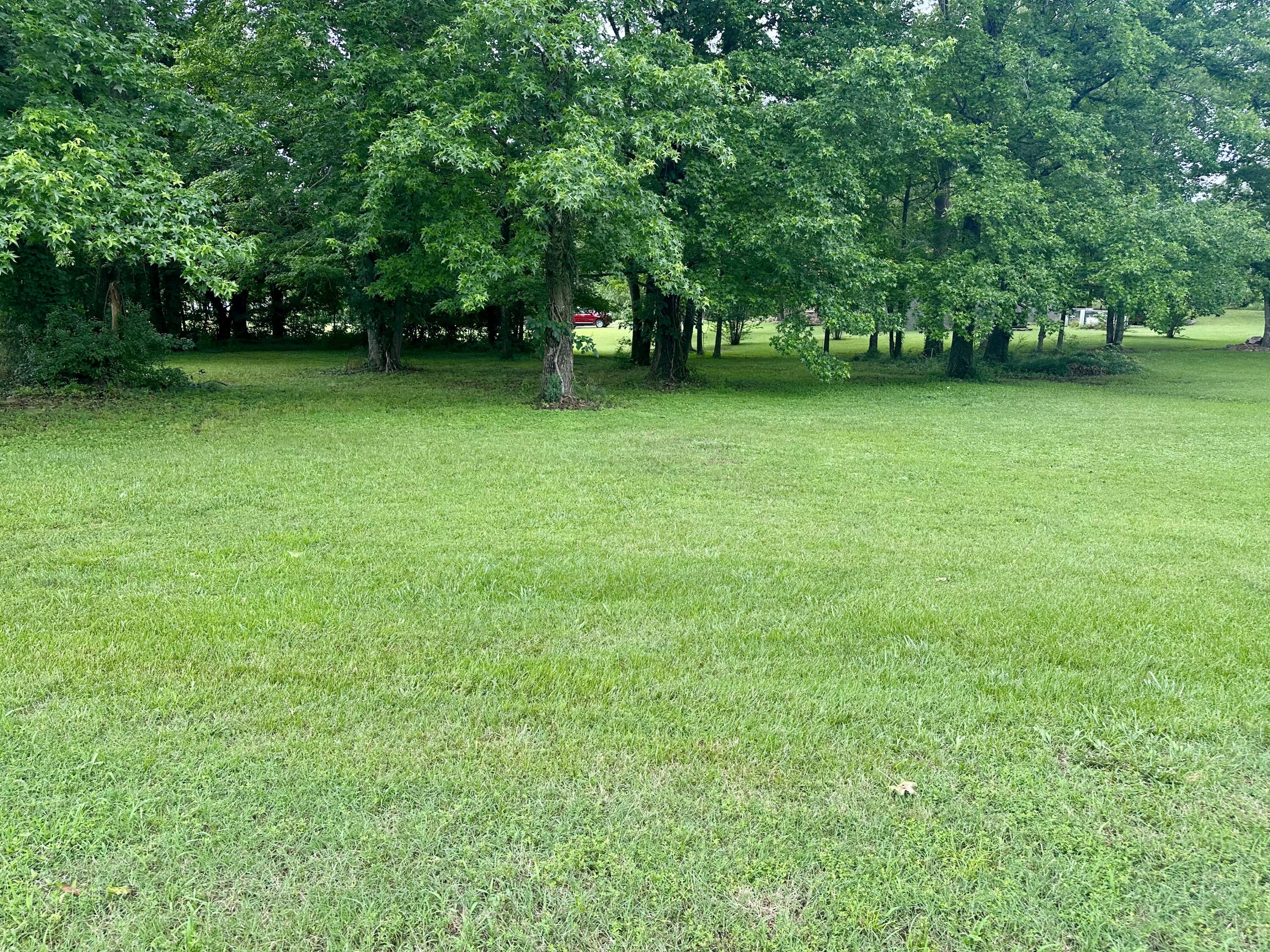 000 Vincent Lot 11 Property Photo 5