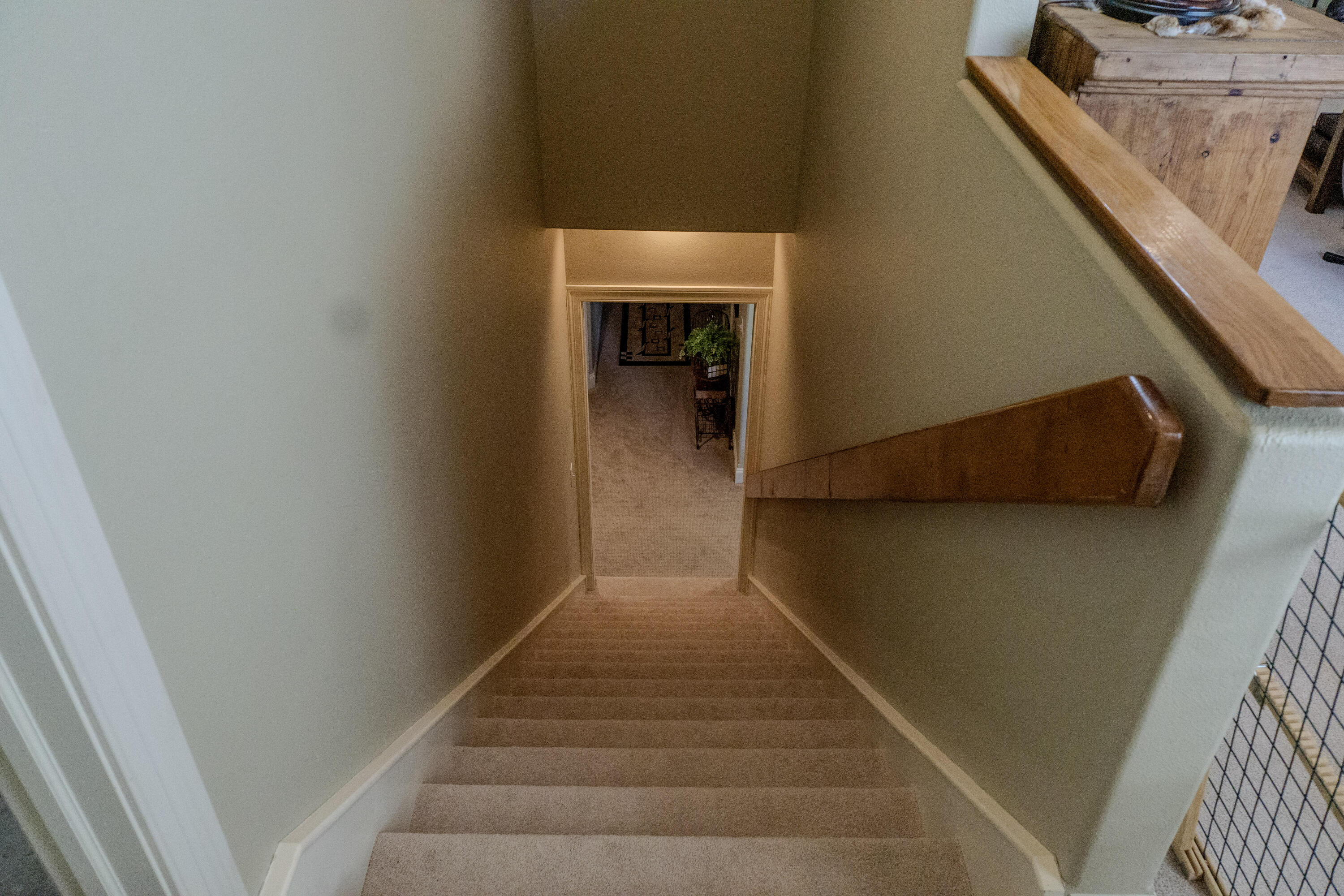 740 Russel Ridge Road Property Photo 42