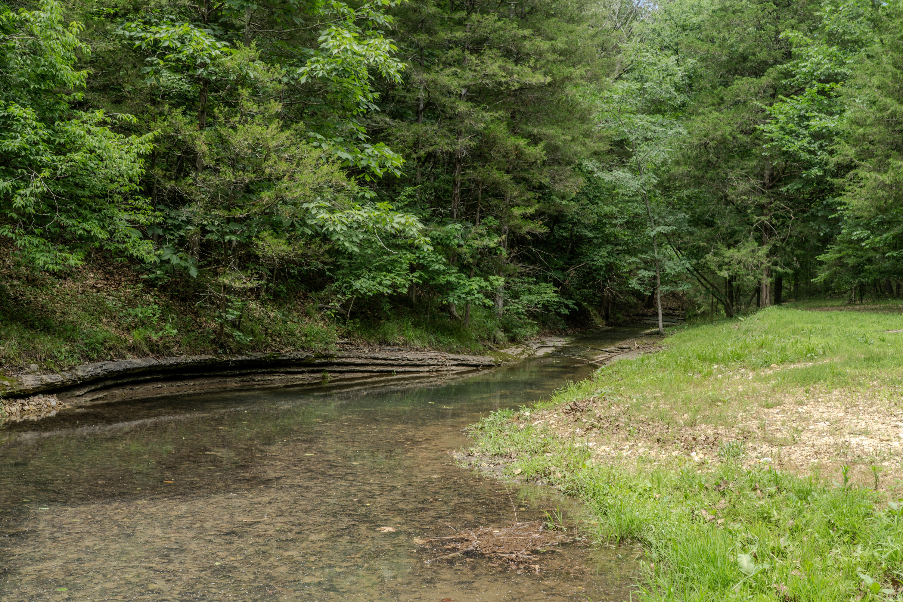 740 Russel Ridge Road Property Photo 69