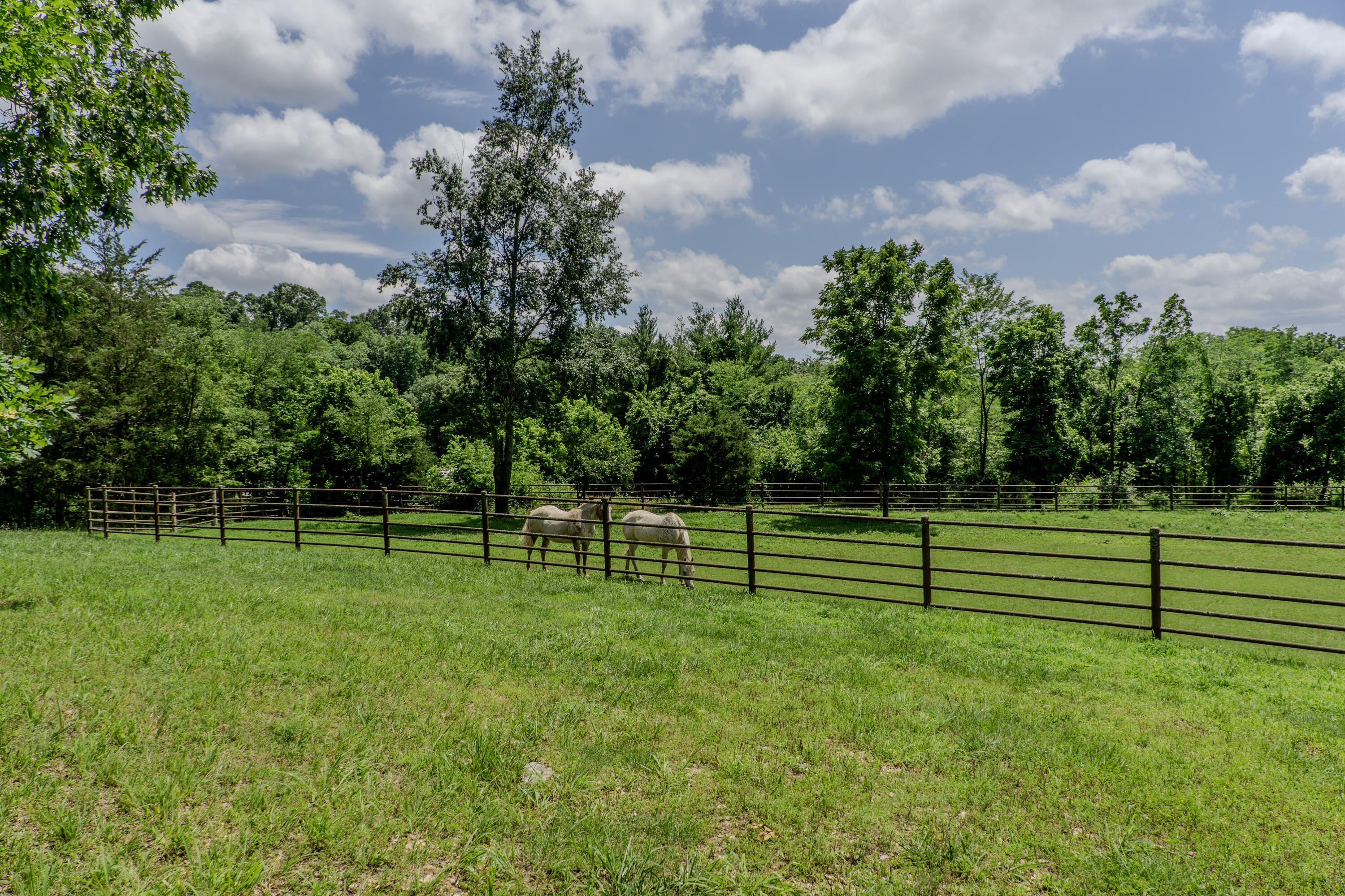 740 Russel Ridge Road Property Photo 74