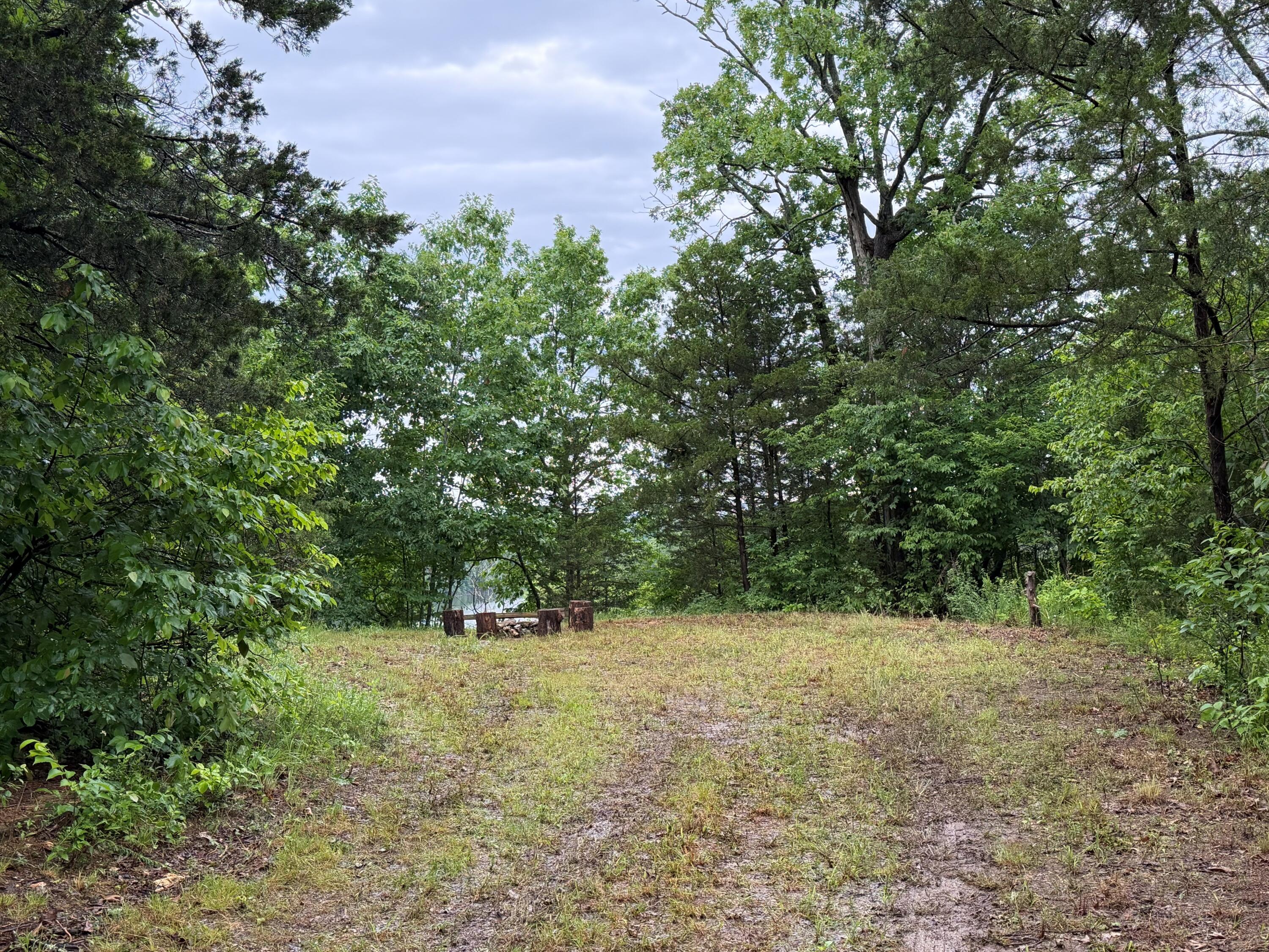 000 Farm Road 1250 Property Photo 4