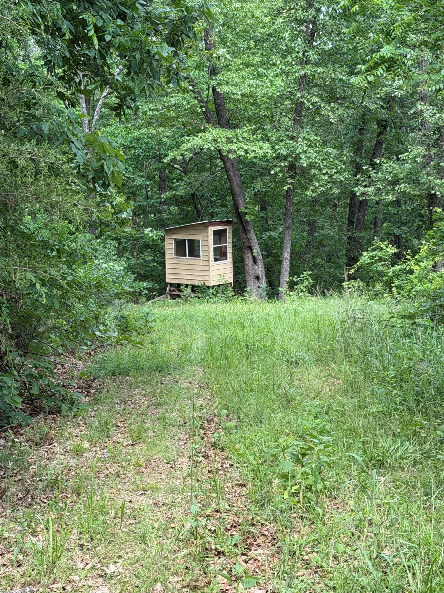 000 Farm Road 1250 Property Photo 11