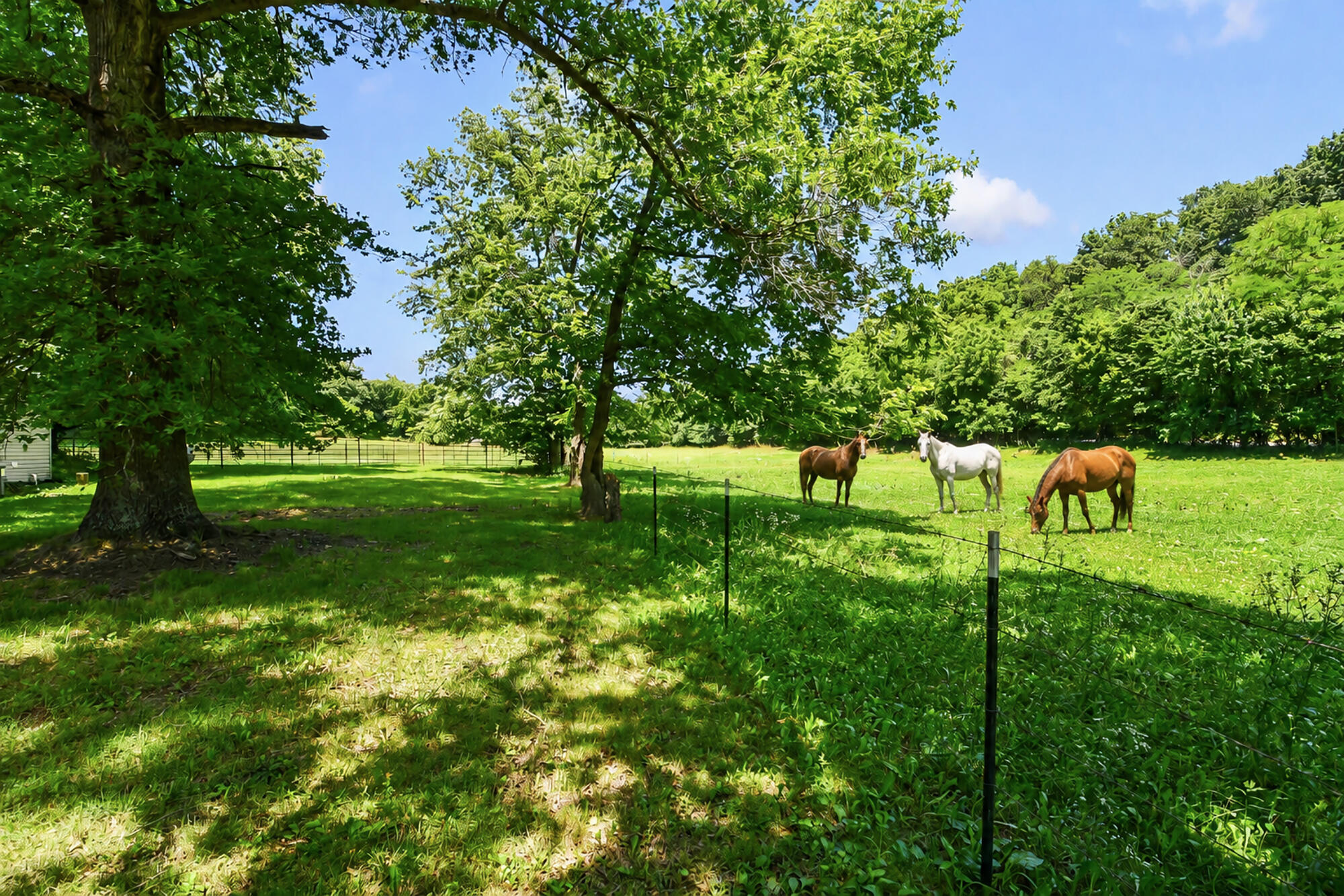 533 Ghan Road Property Photo 4