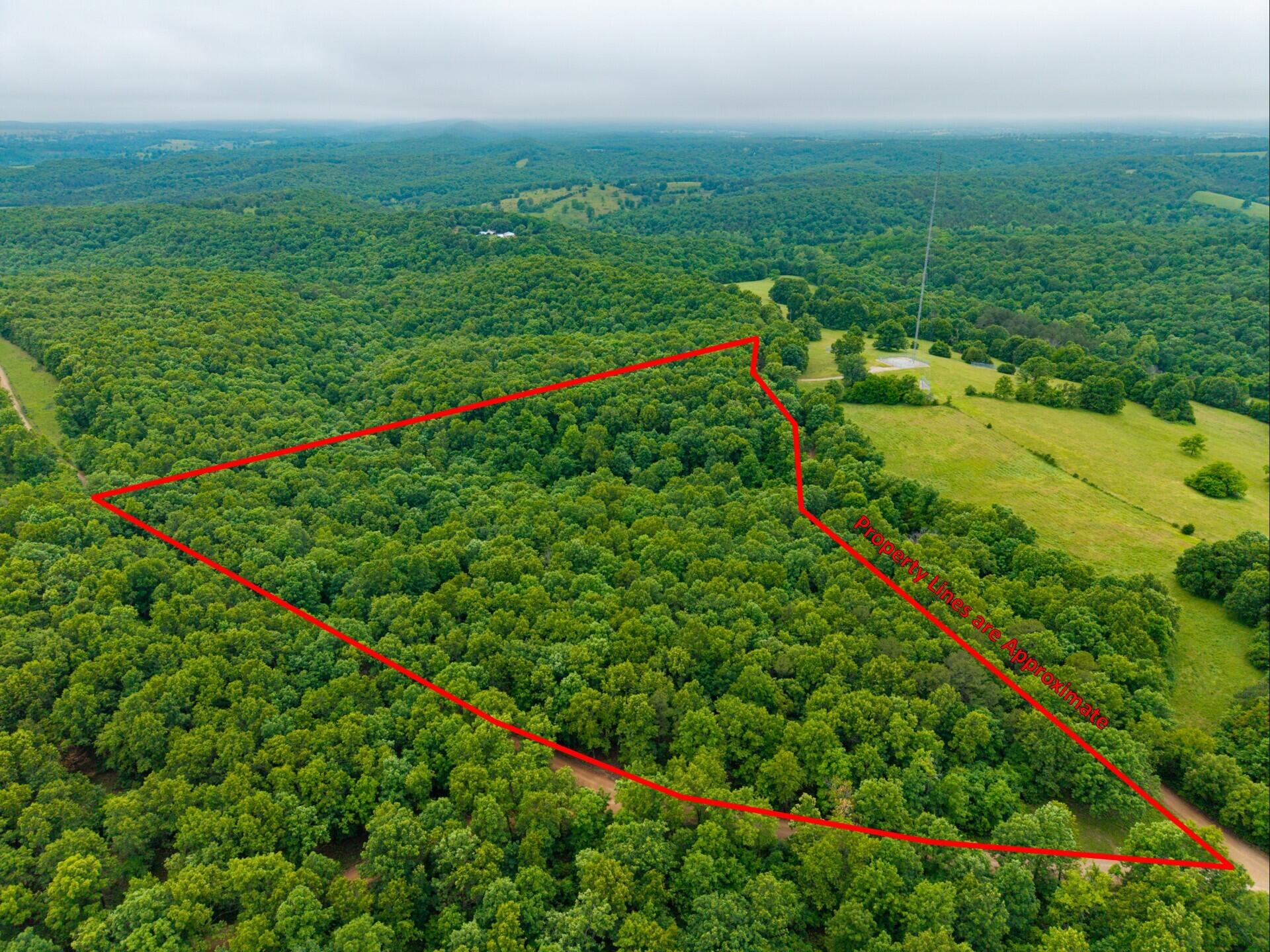 000 Co Rd 519 Tract 3 Property Photo 1