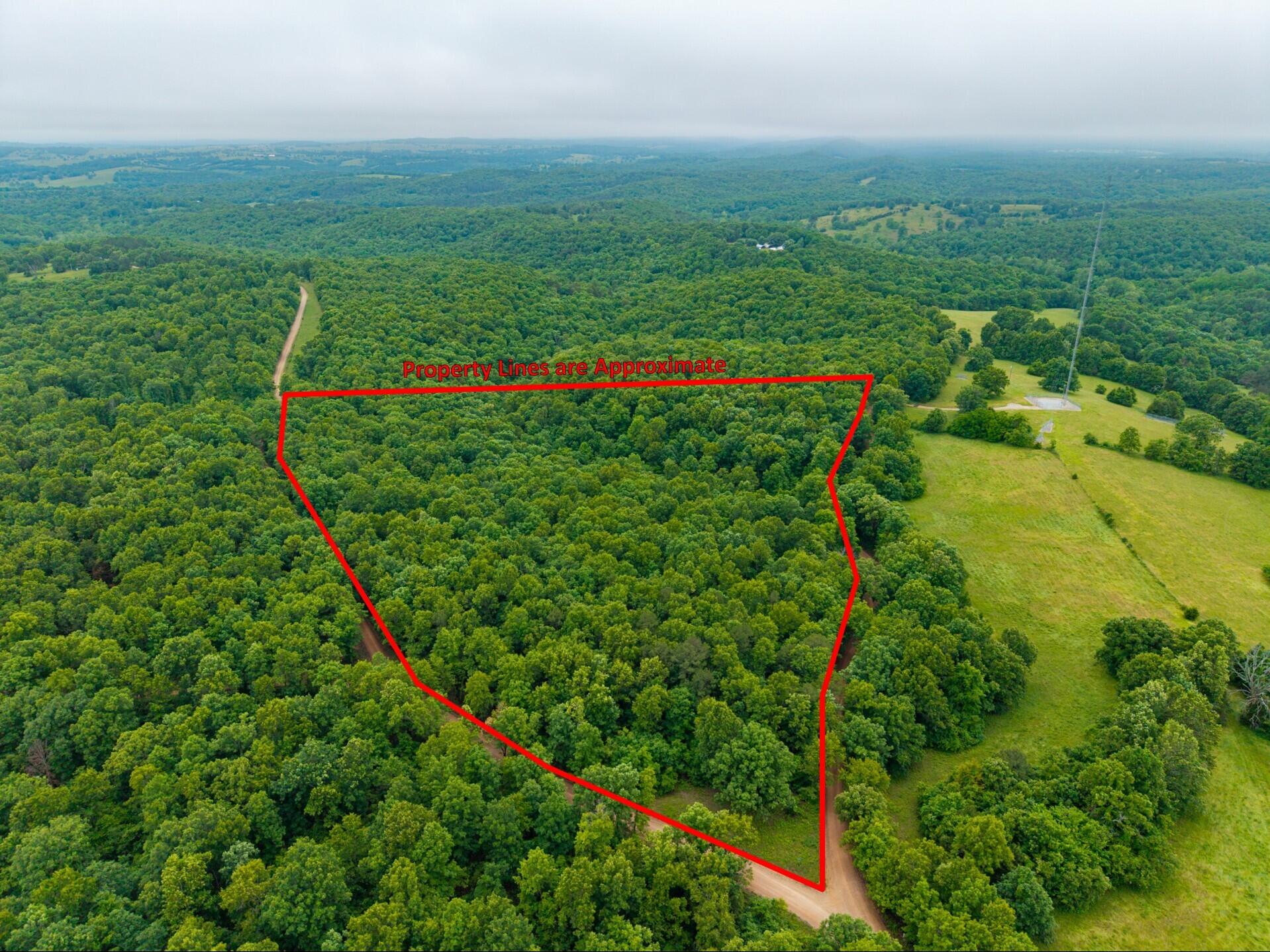 000 Co Rd 519 Tract 3 Property Photo 3