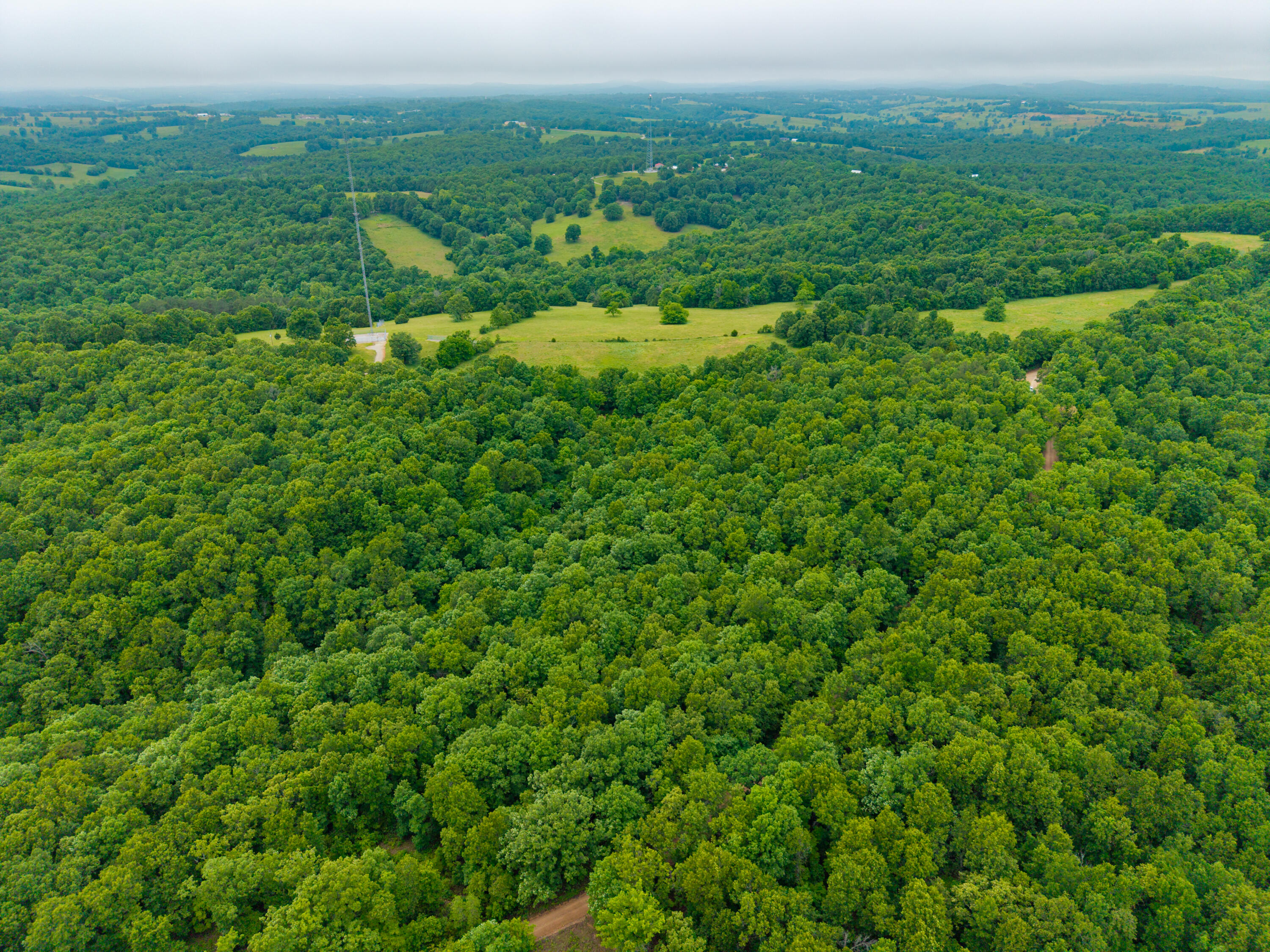 000 Co Rd 519 Tract 3 Property Photo 6