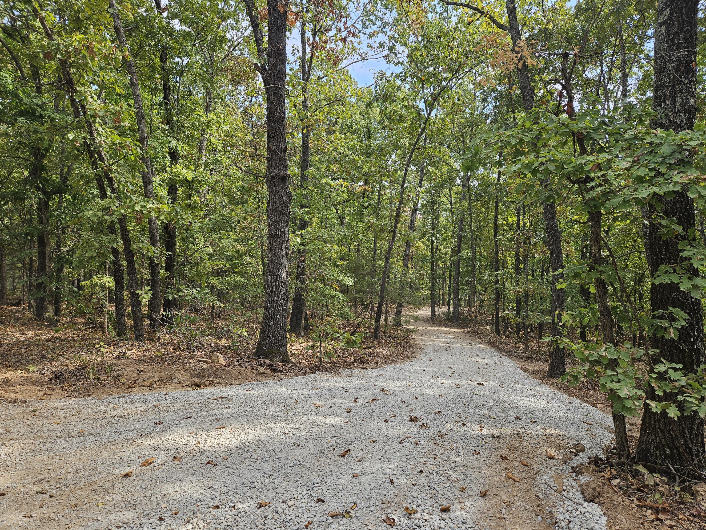 000 Co Rd 519 Tract 3 Property Photo 1