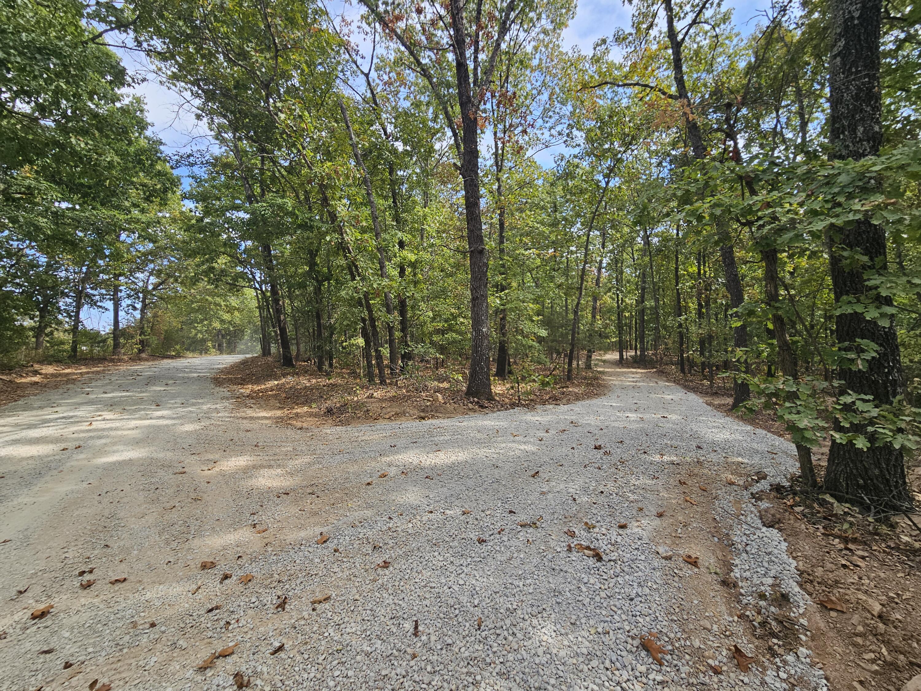 000 Co Rd 519 Tract 3 Property Photo 2