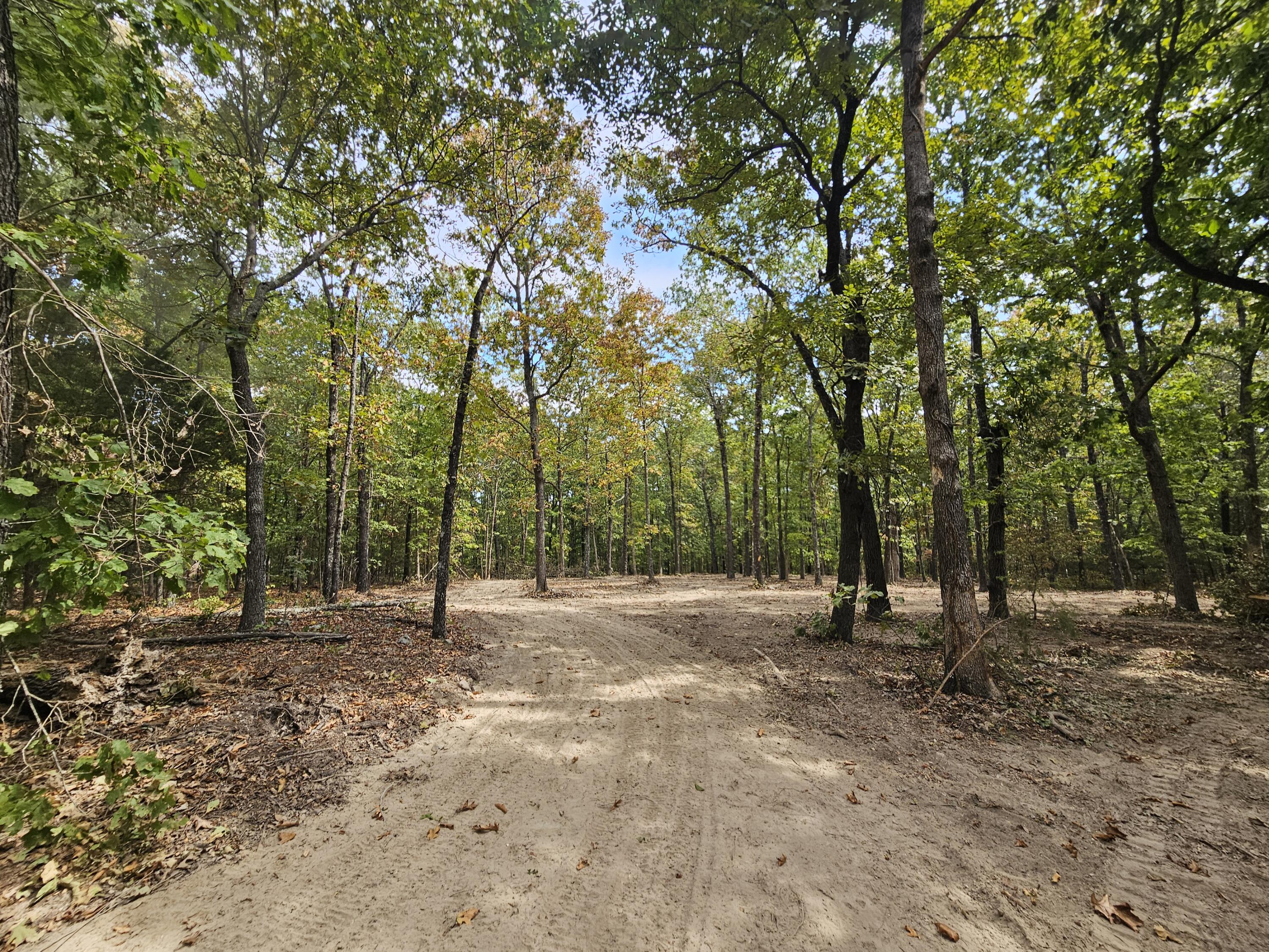000 Co Rd 519 Tract 3 Property Photo 3