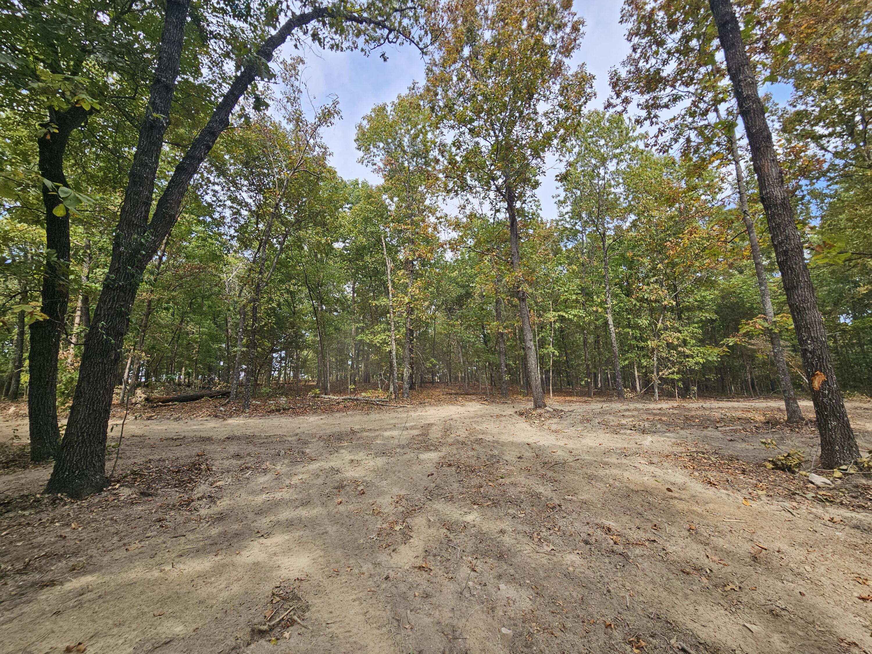 000 Co Rd 519 Tract 3 Property Photo 4