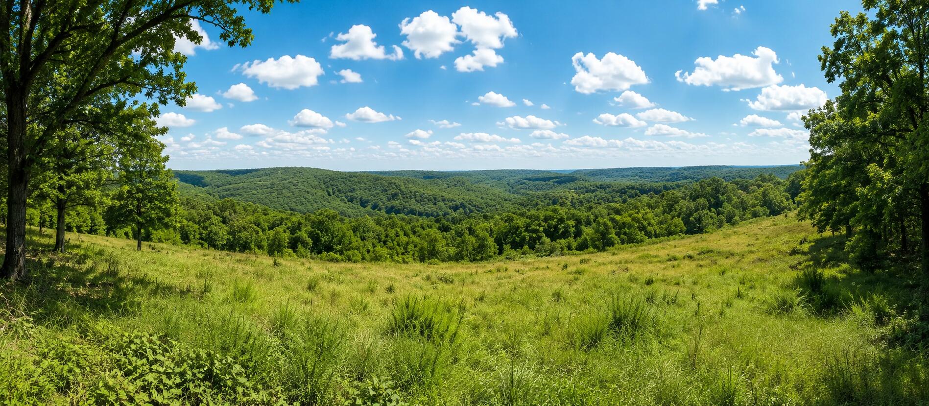 1029 Bear Hollow Road Property Photo 10