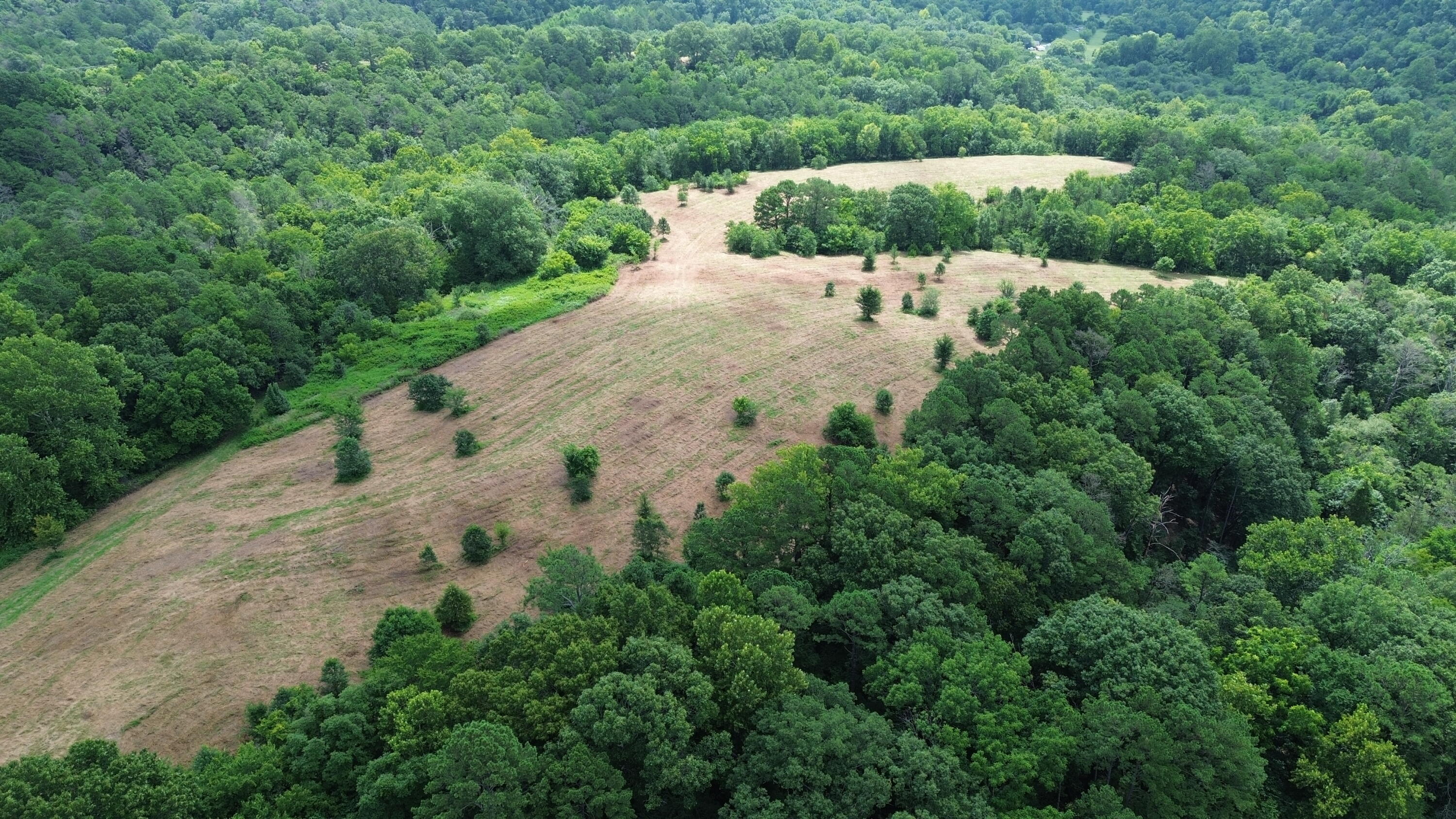 1029 Bear Hollow Road Property Photo 12