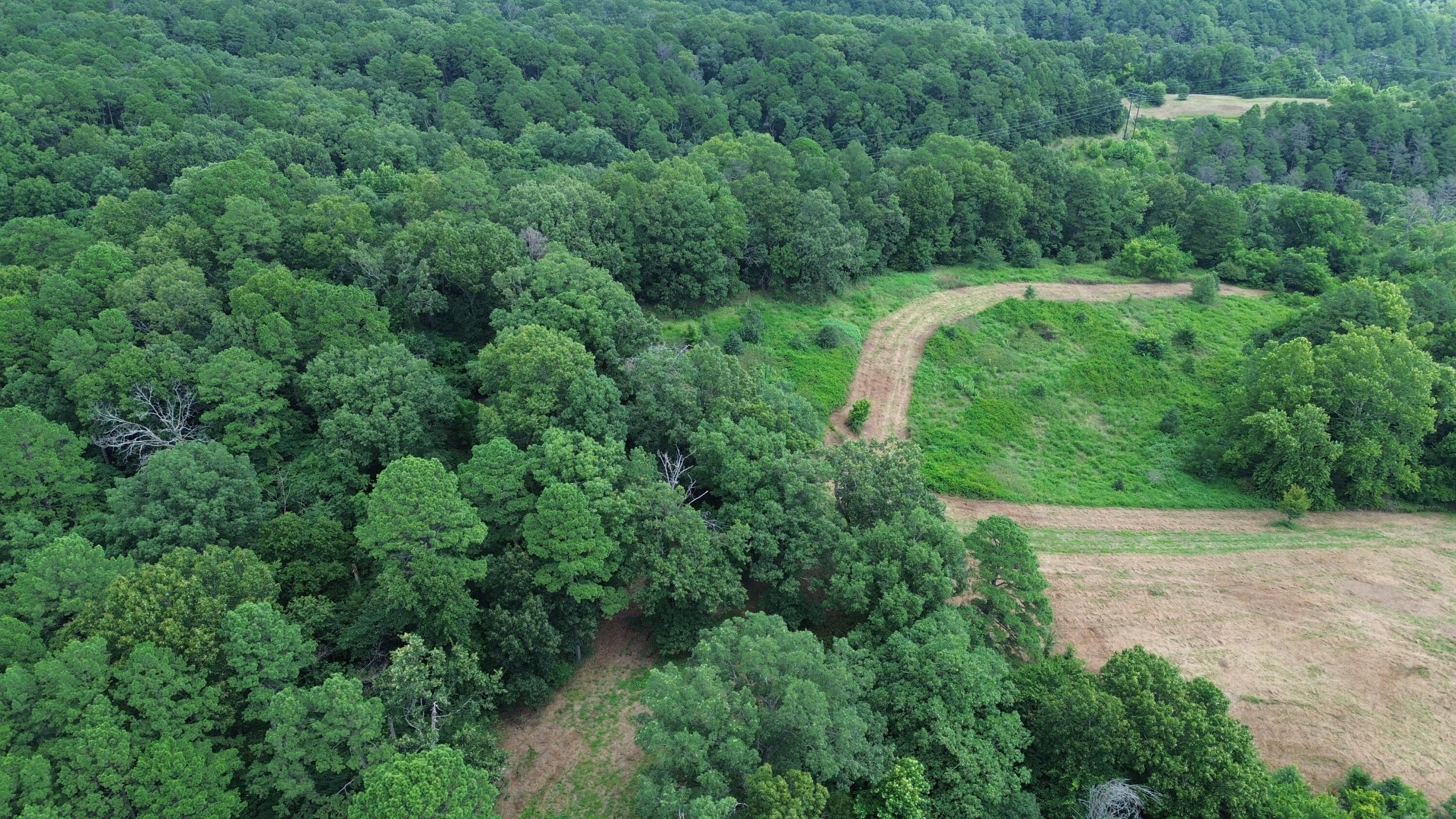 1029 Bear Hollow Road Property Photo 13
