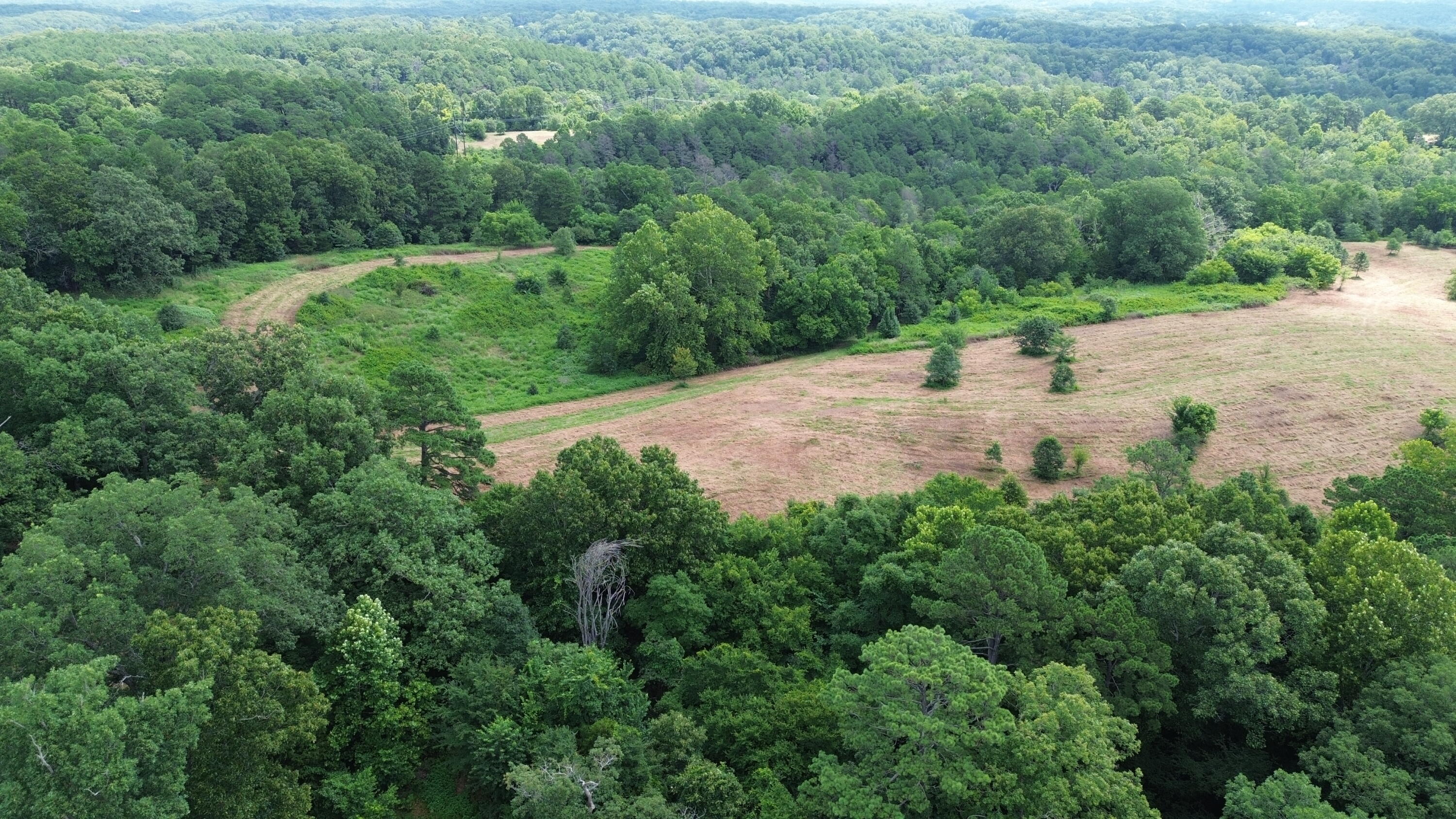 1029 Bear Hollow Road Property Photo 14