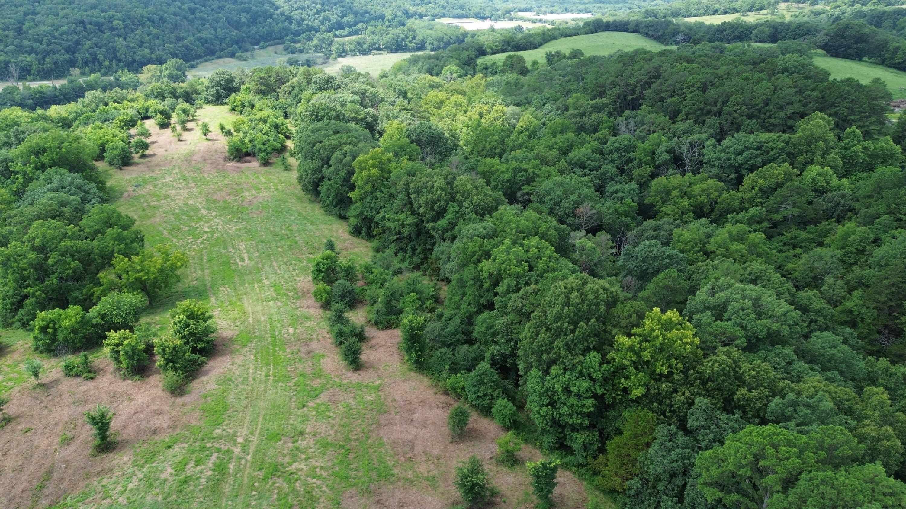 1029 Bear Hollow Road Property Photo 16
