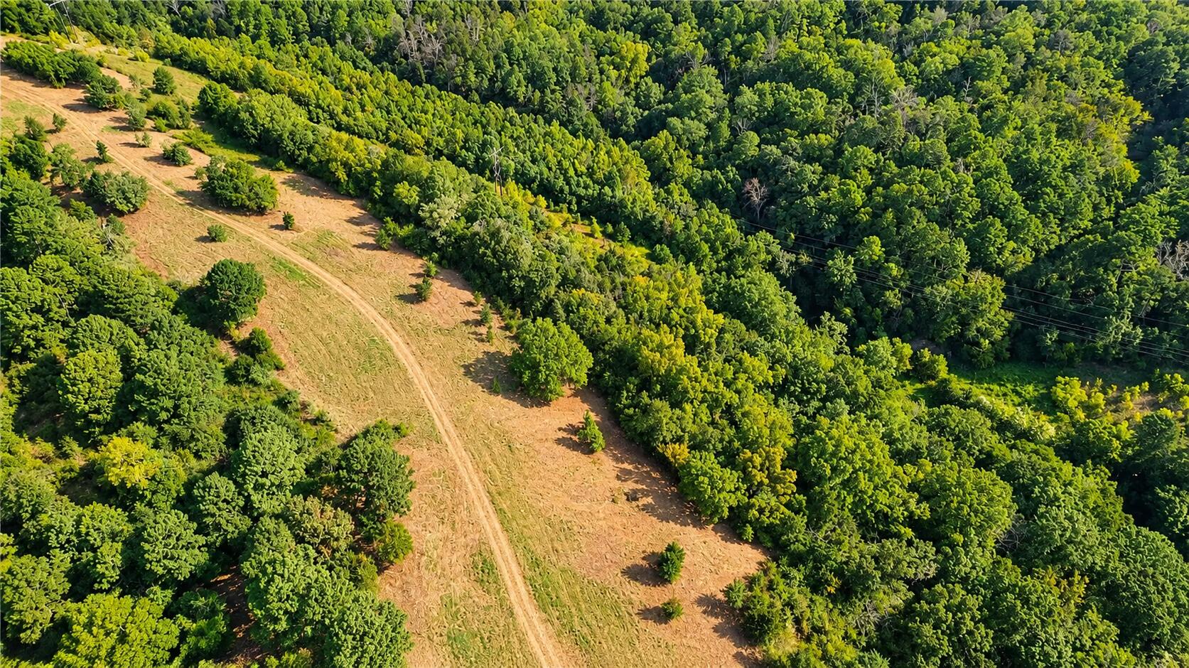 1029 Bear Hollow Road Property Photo 16