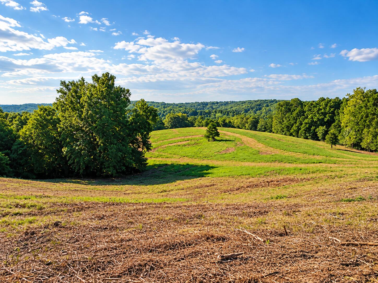 1029 Bear Hollow Road Property Photo 18