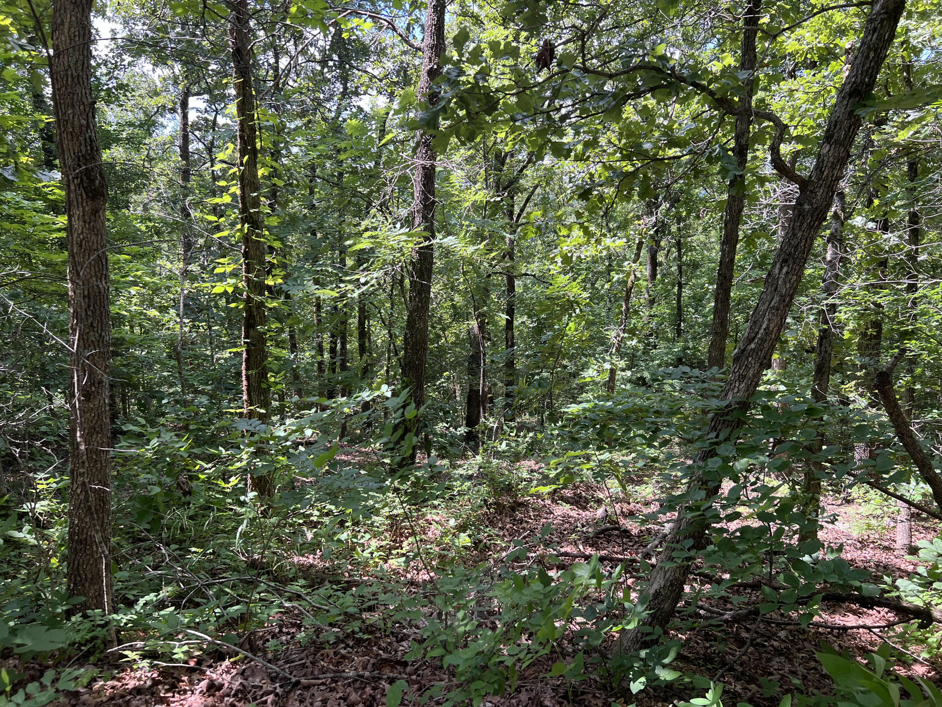 000 Pr Off Ridge Haven Property Photo 1