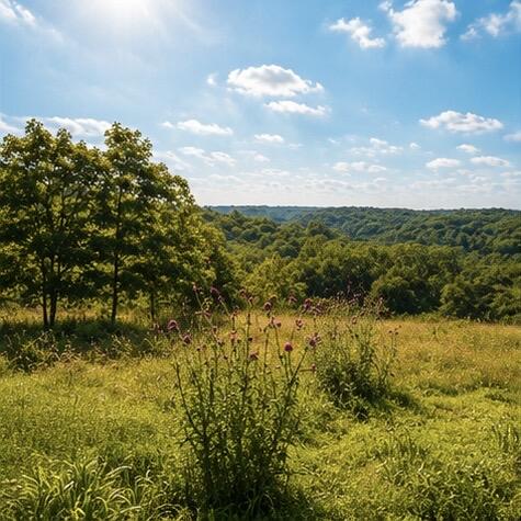 1029 Bear Hollow Road Property Photo 8