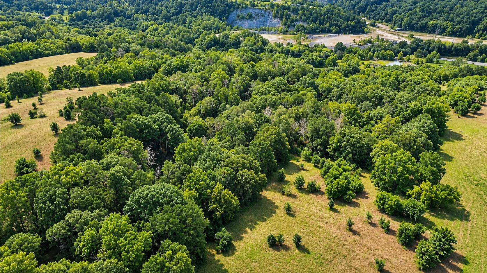 1029 Bear Hollow Road Property Photo 10