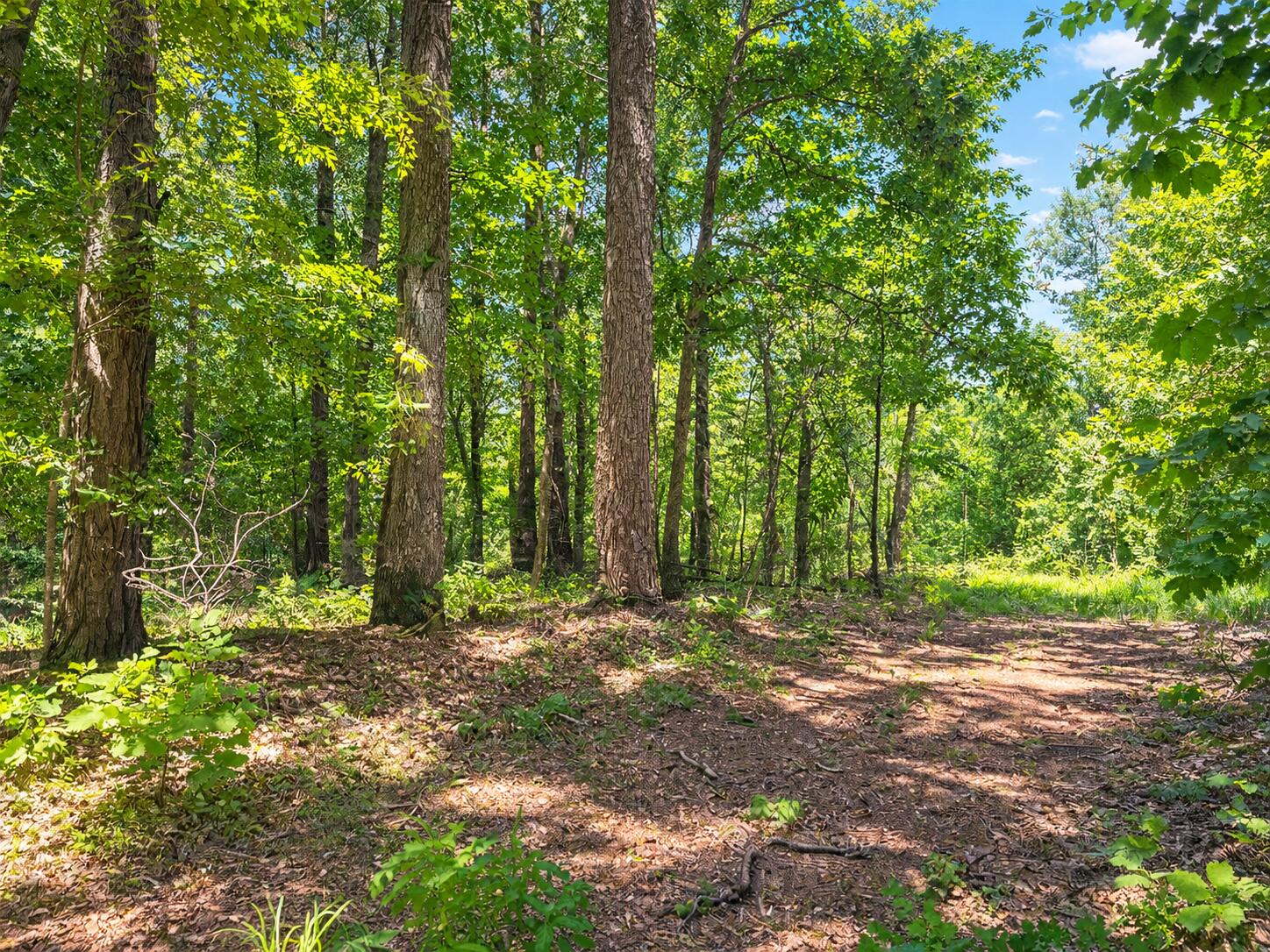 1029 Bear Hollow Road Property Photo 11