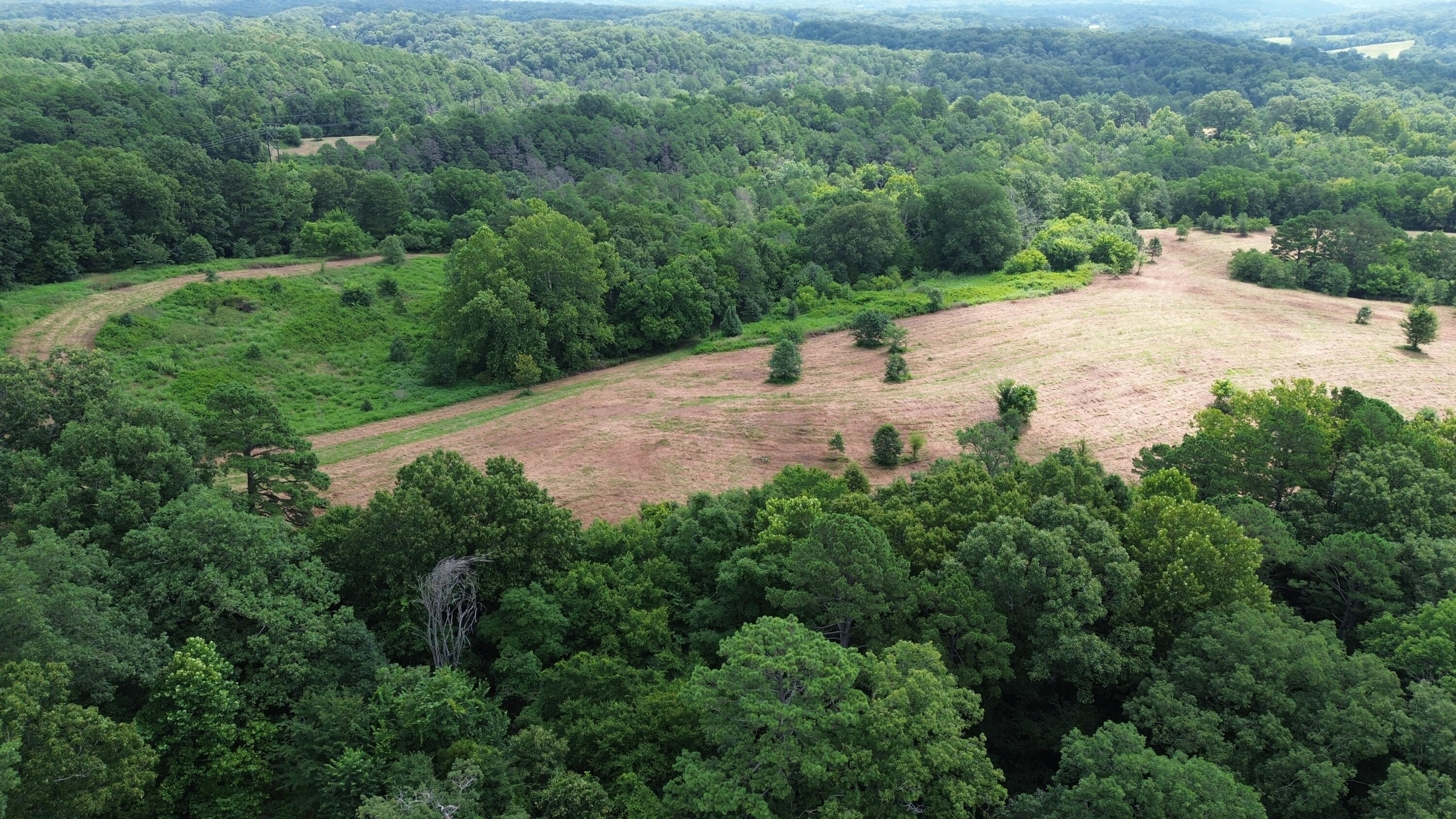 1029 Bear Hollow Road Property Photo 13