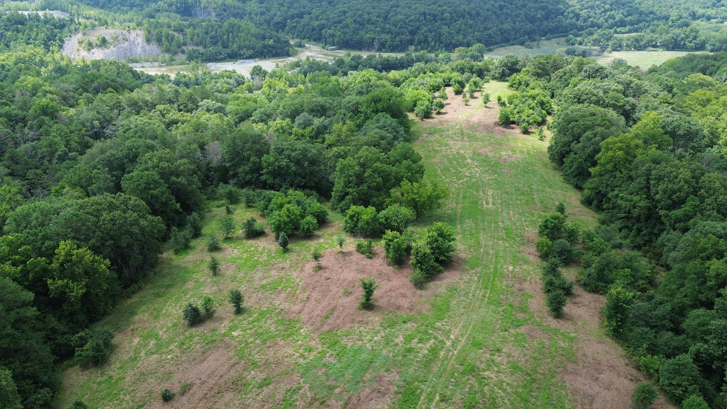 1029 Bear Hollow Road Property Photo 14