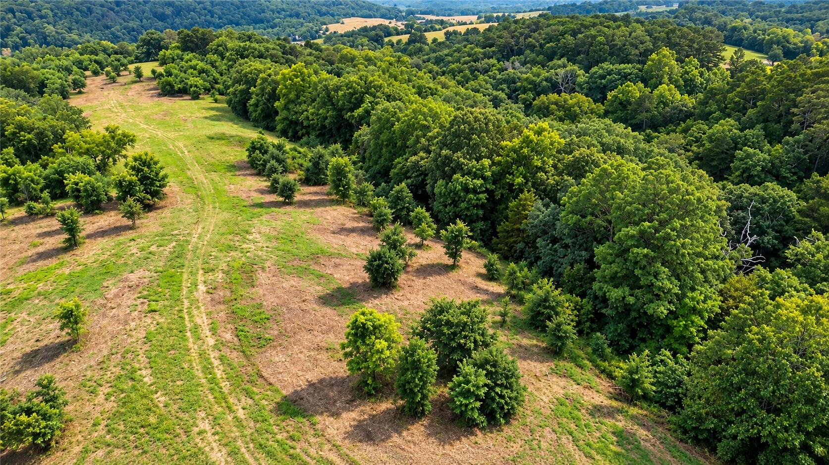 1029 Bear Hollow Road Property Photo 16