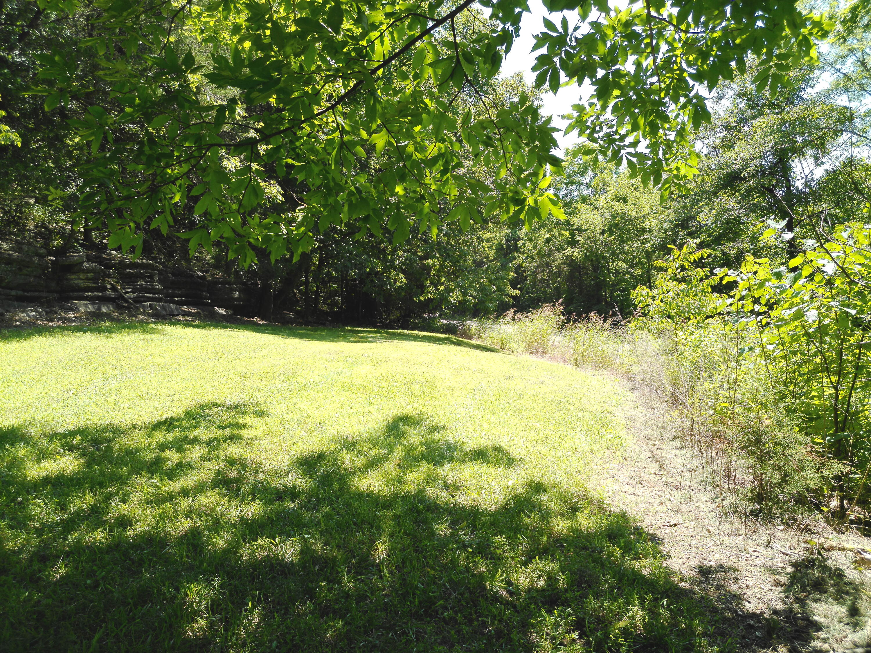 1029 Bear Hollow Road Property Photo 18