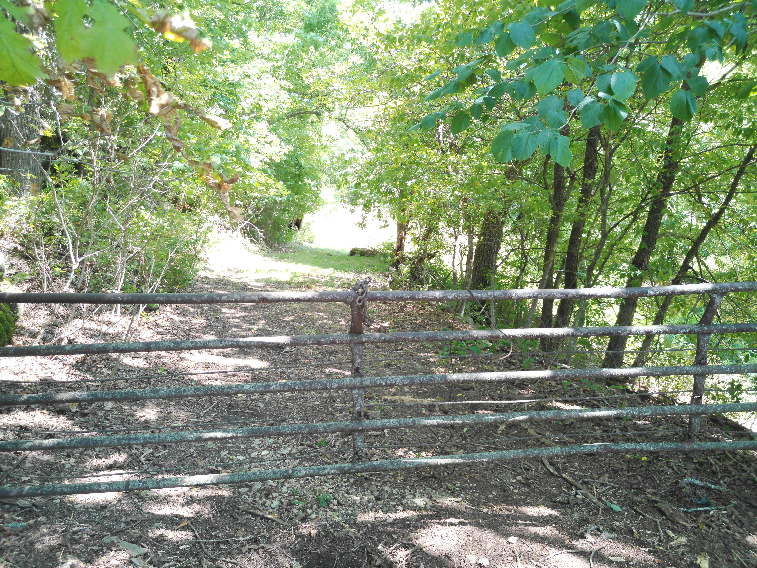 1029 Bear Hollow Road Property Photo 19