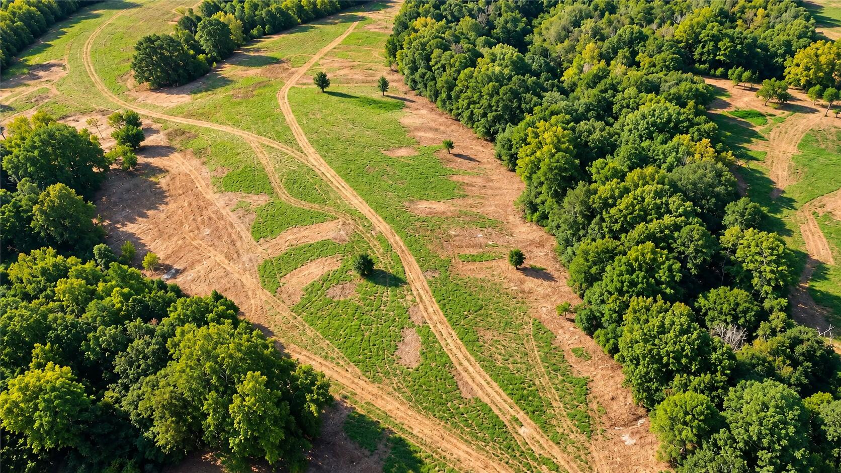 1029 Bear Hollow Road Property Photo 19