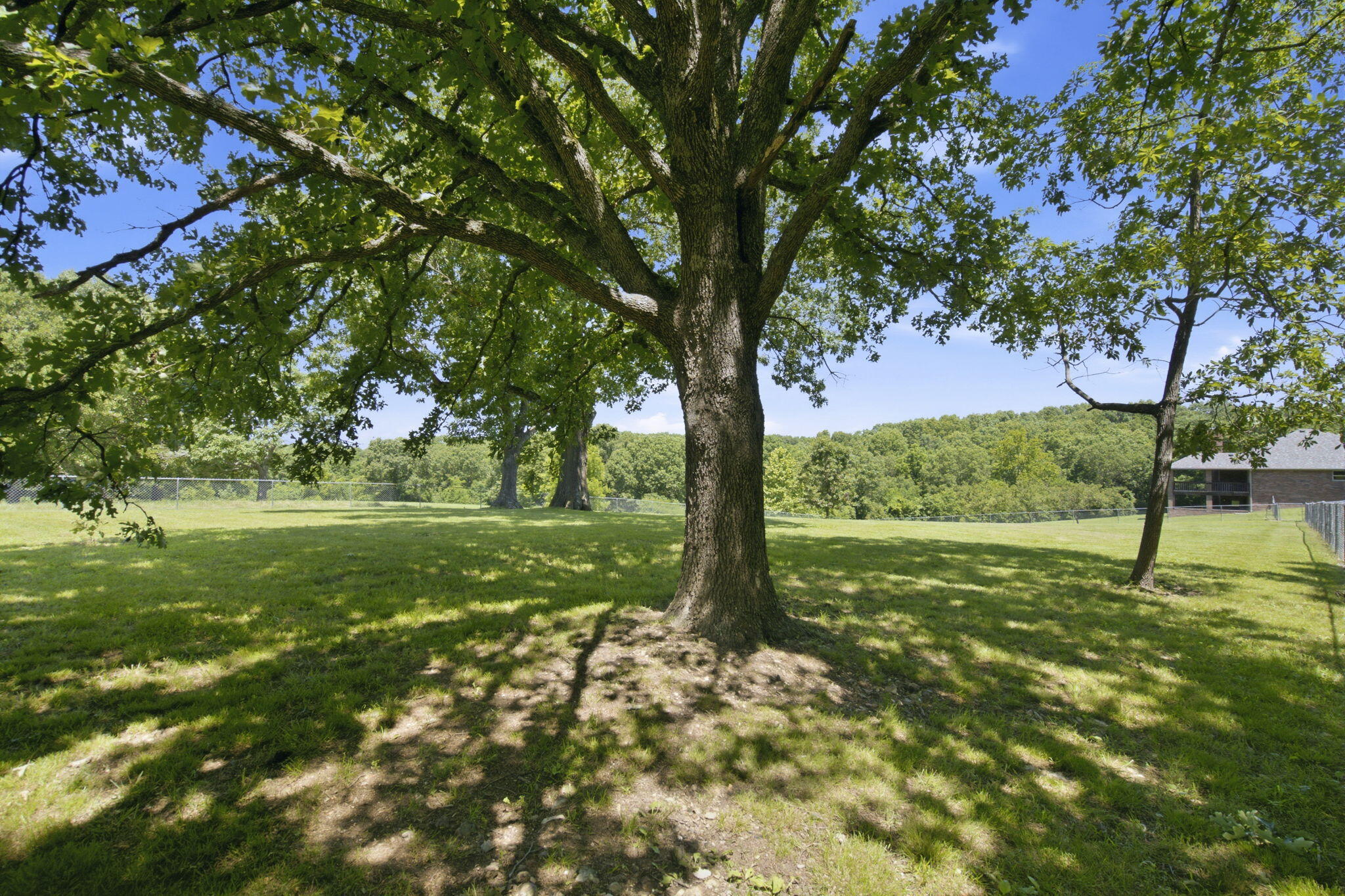 963 Walnut Shade Road Property Photo 58
