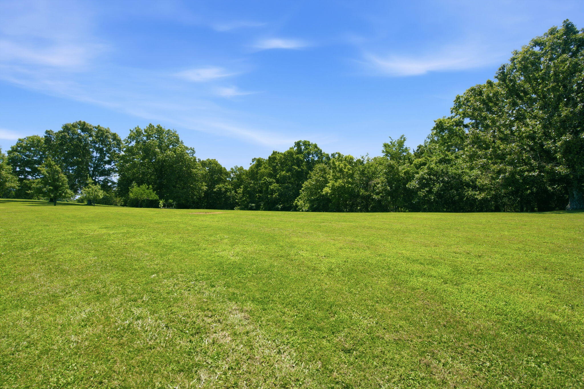 963 Walnut Shade Road Property Photo 60