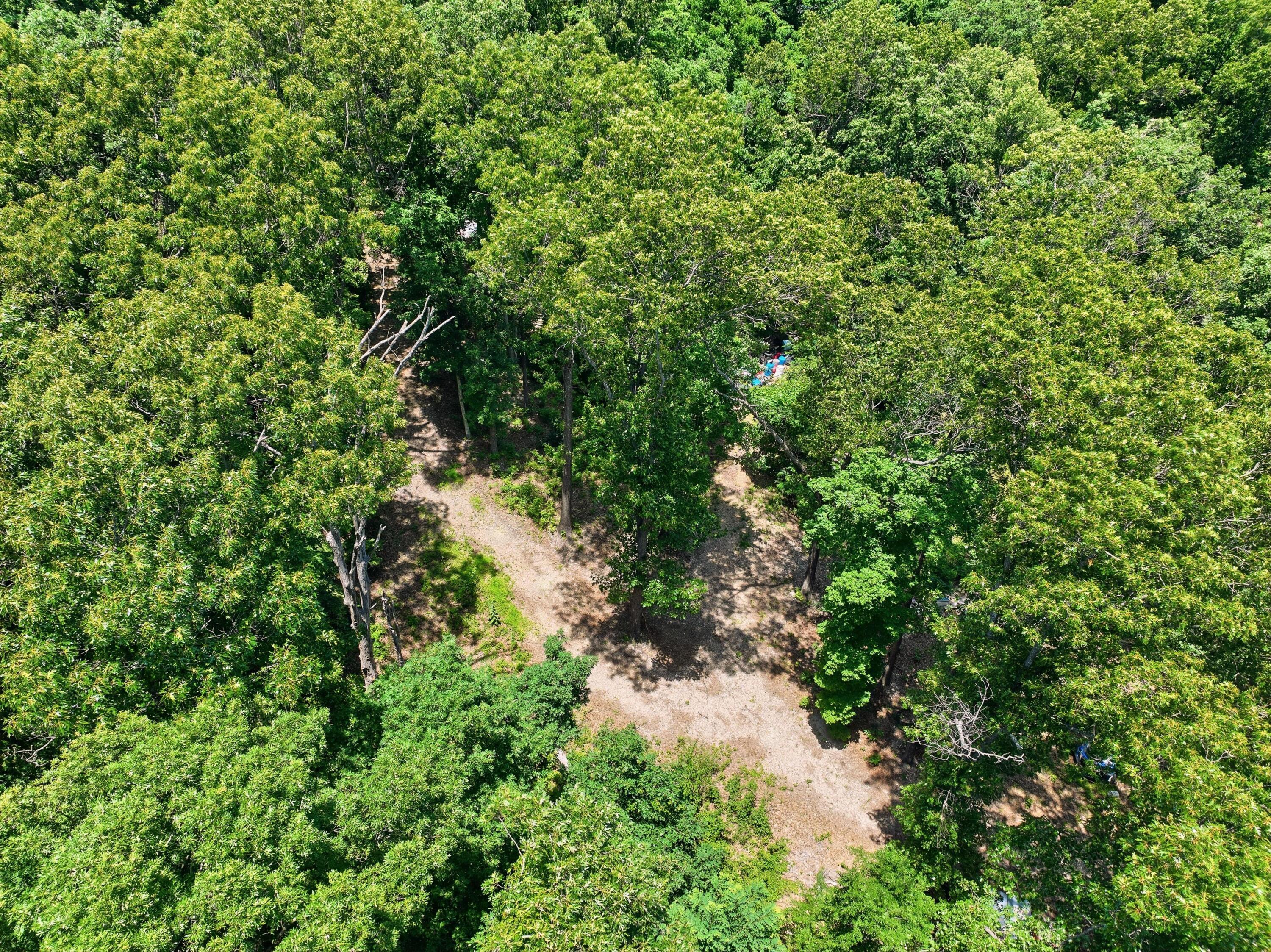 989 Schlessman Road Property Photo 11