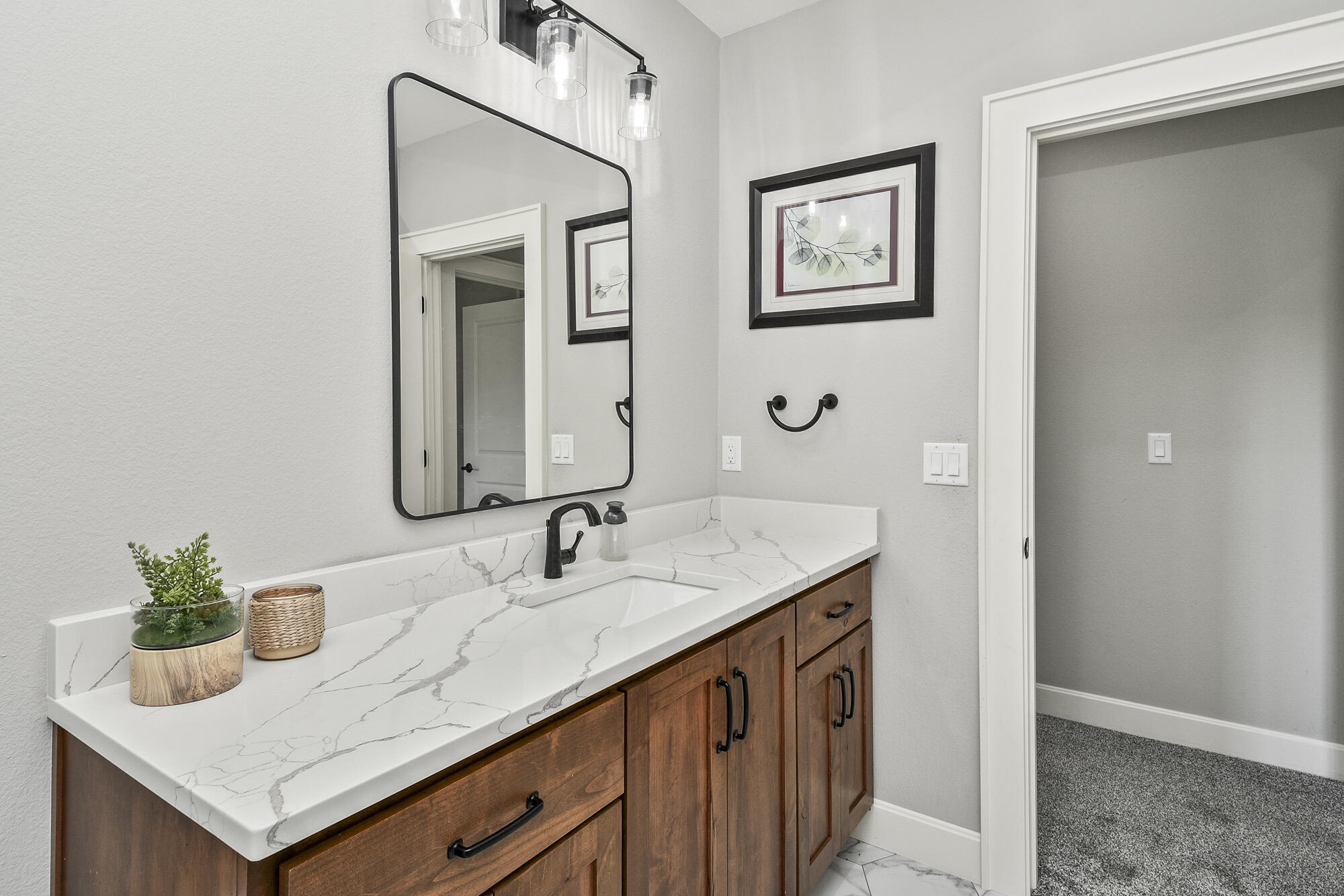 358 Thornbrooke Drive Property Photo 61