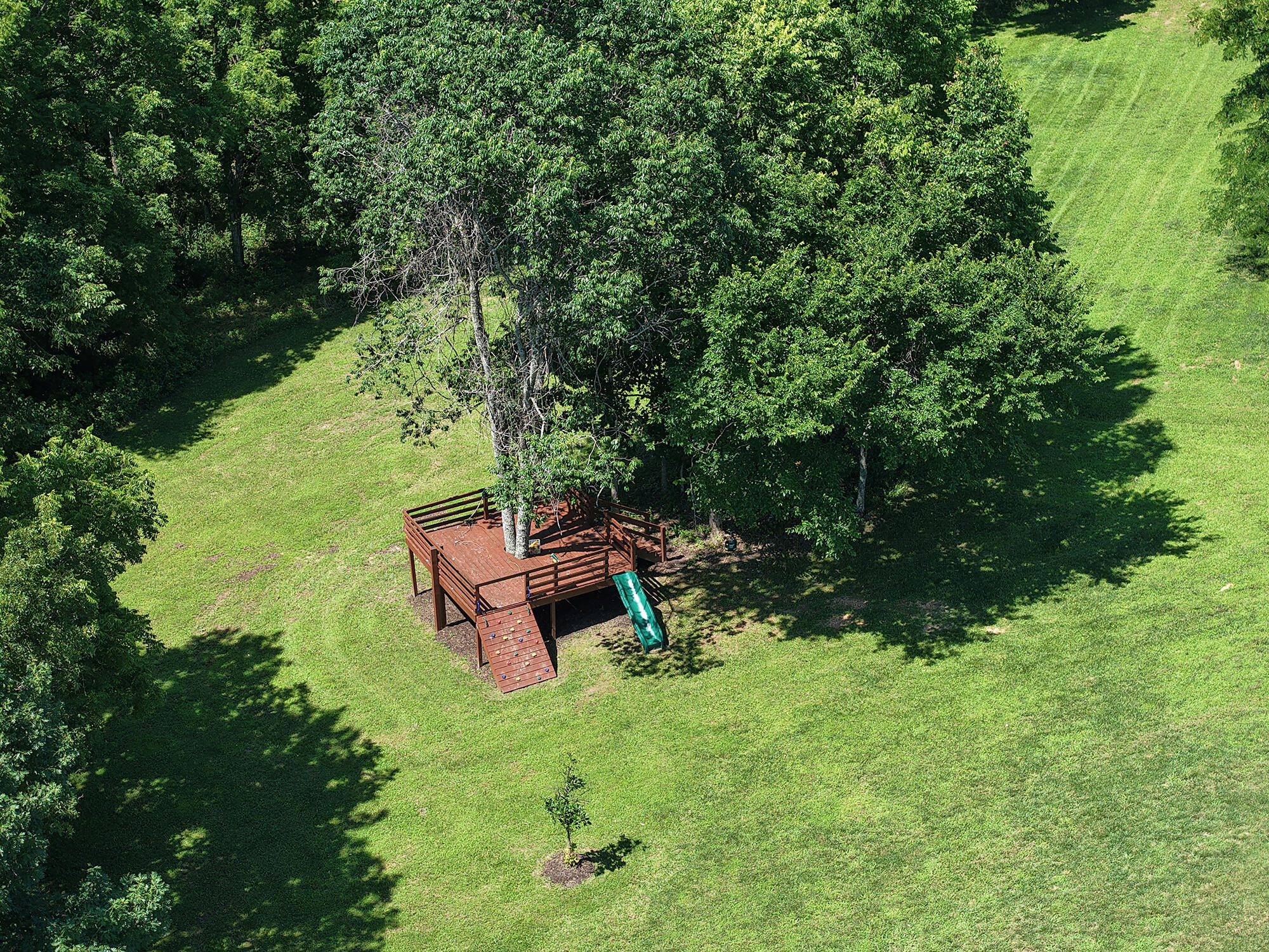358 Thornbrooke Drive Property Photo 69