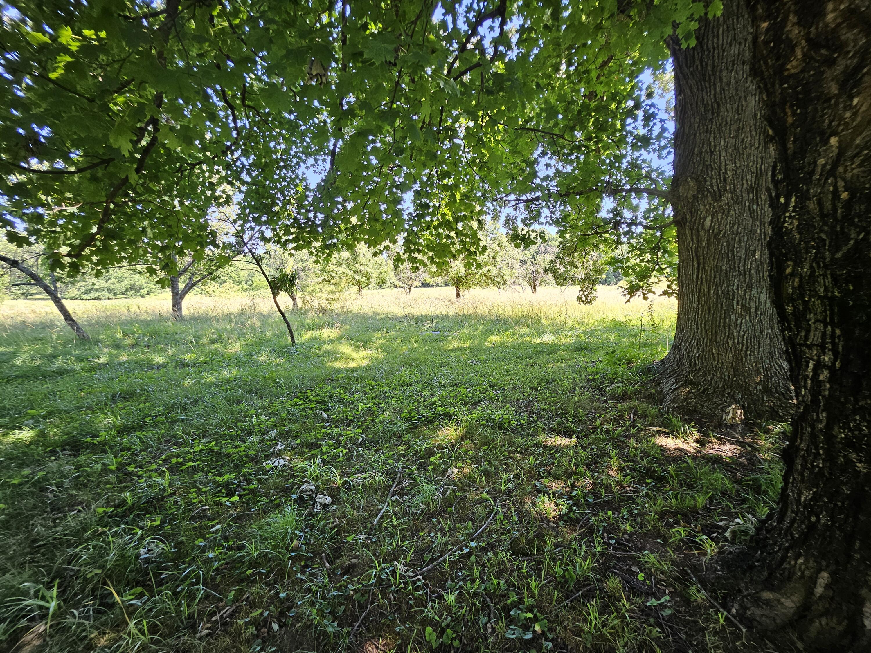 60326726 Property Photo 29