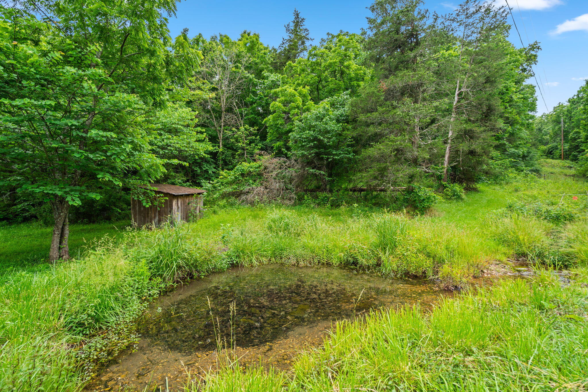 489 Mcvey Drive Property Photo 14