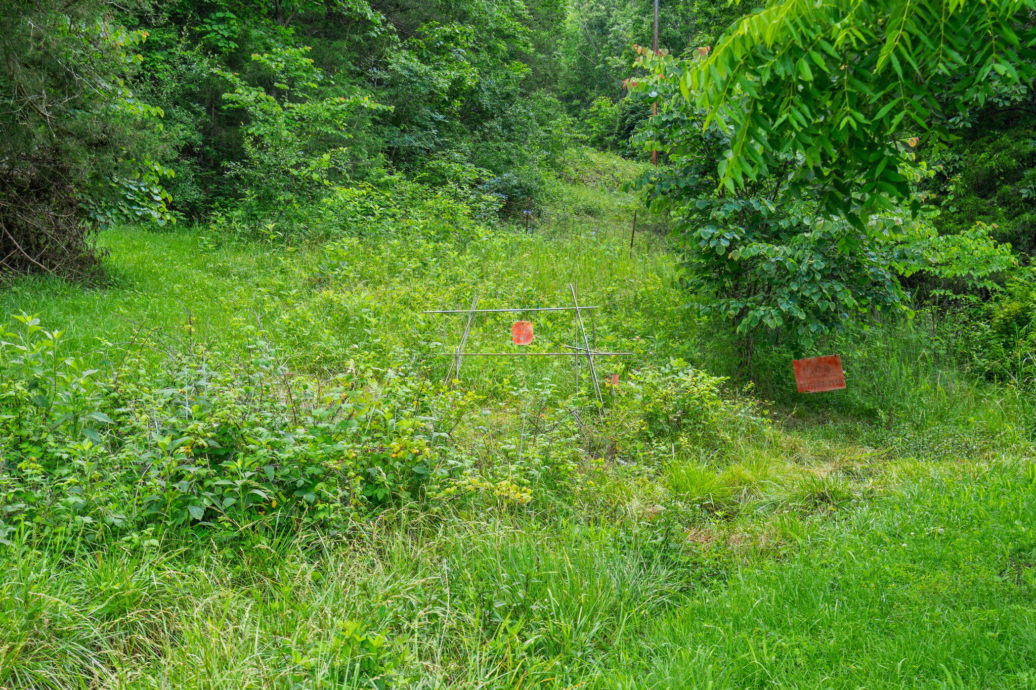 489 Mcvey Drive Property Photo 17