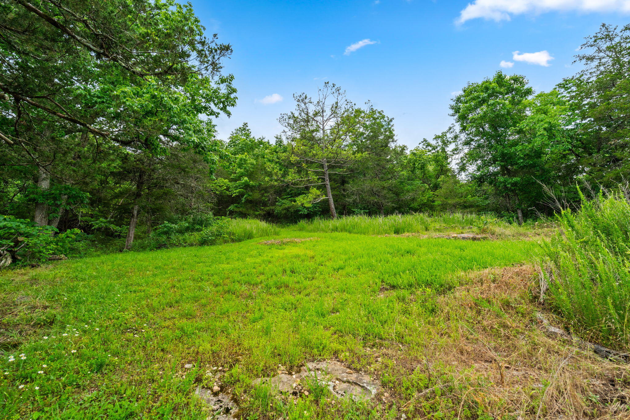 489 Mcvey Drive Property Photo 45
