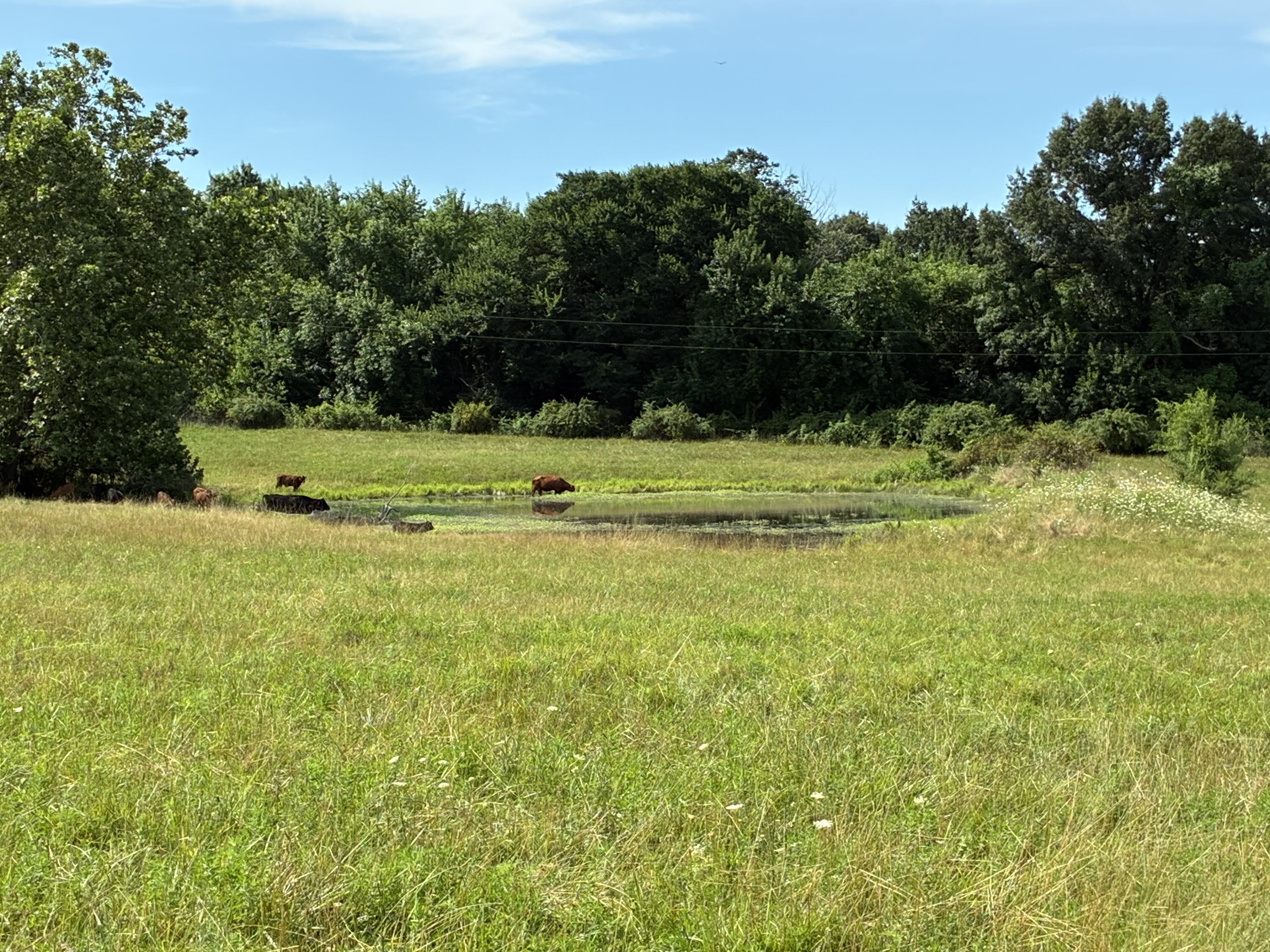 22665 State Hwy 83 Property Photo 5