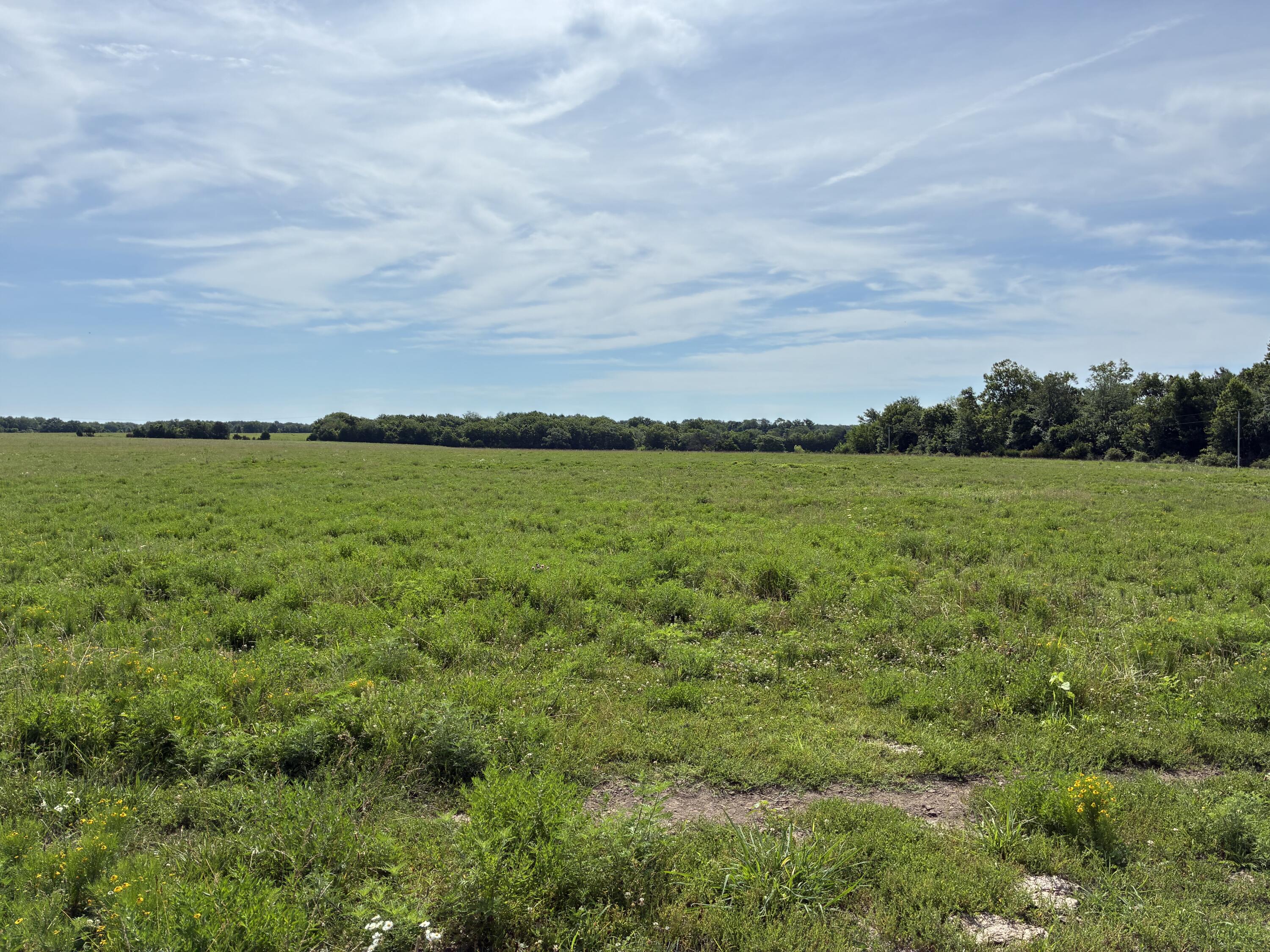 22665 State Hwy 83 Property Photo 6