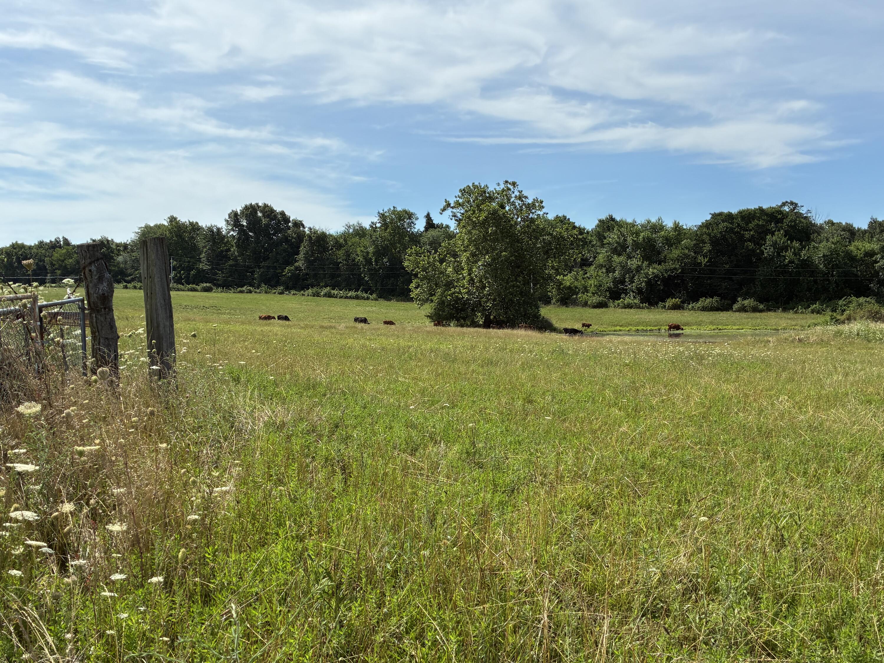 22665 State Hwy 83 Property Photo 25