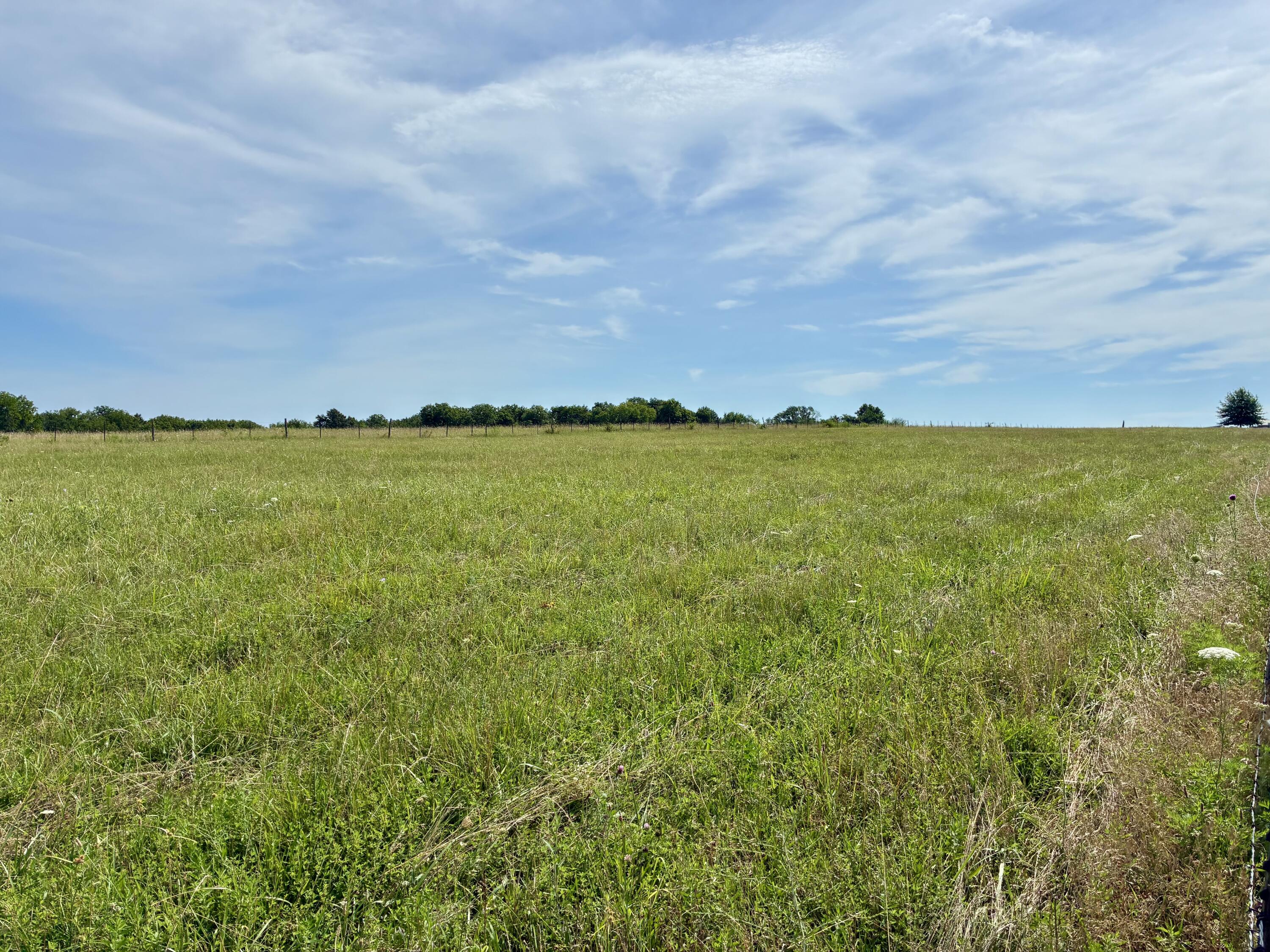 22665 State Hwy 83 Property Photo 26