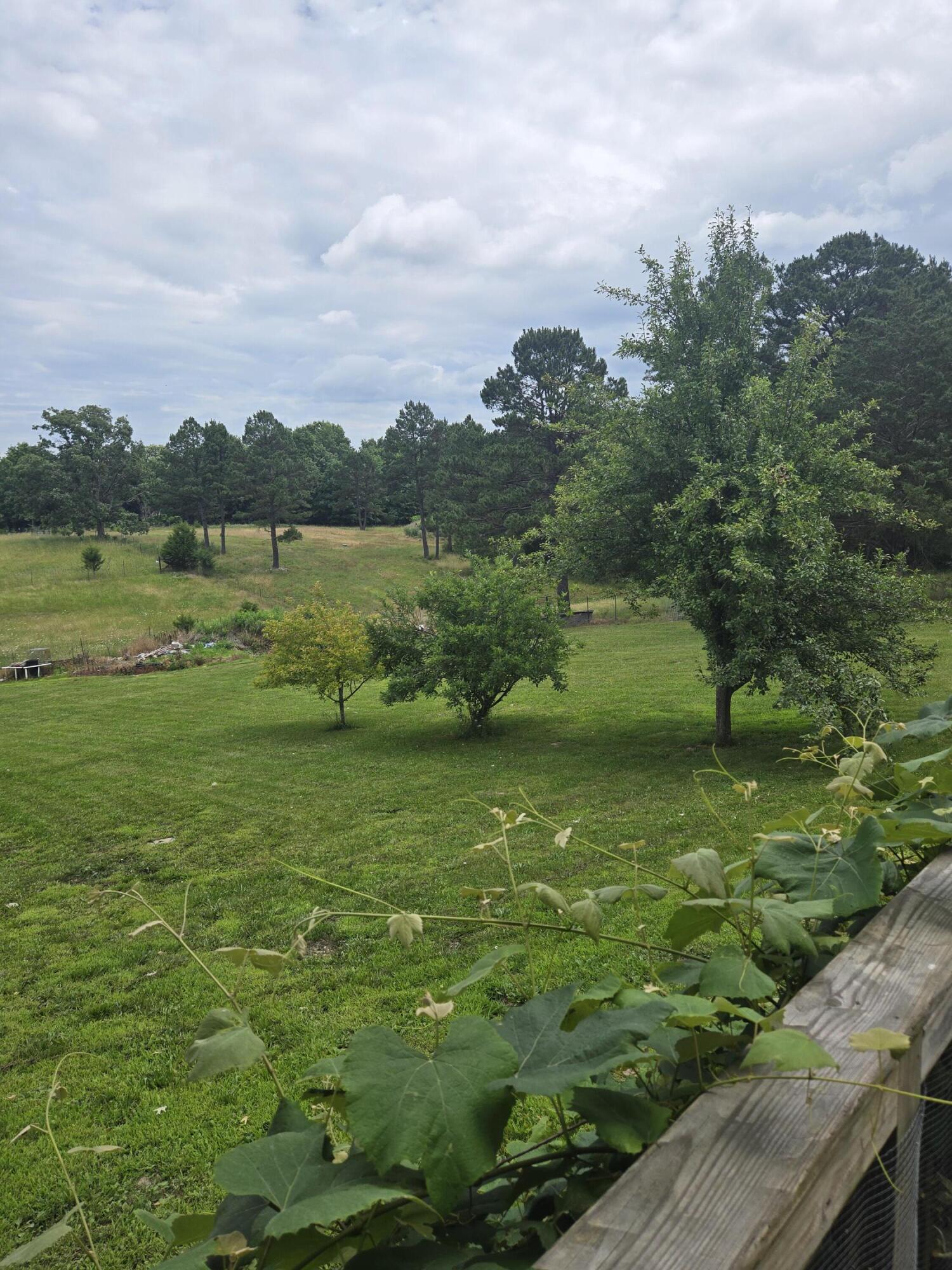 6405 State Route Mm Property Photo 57