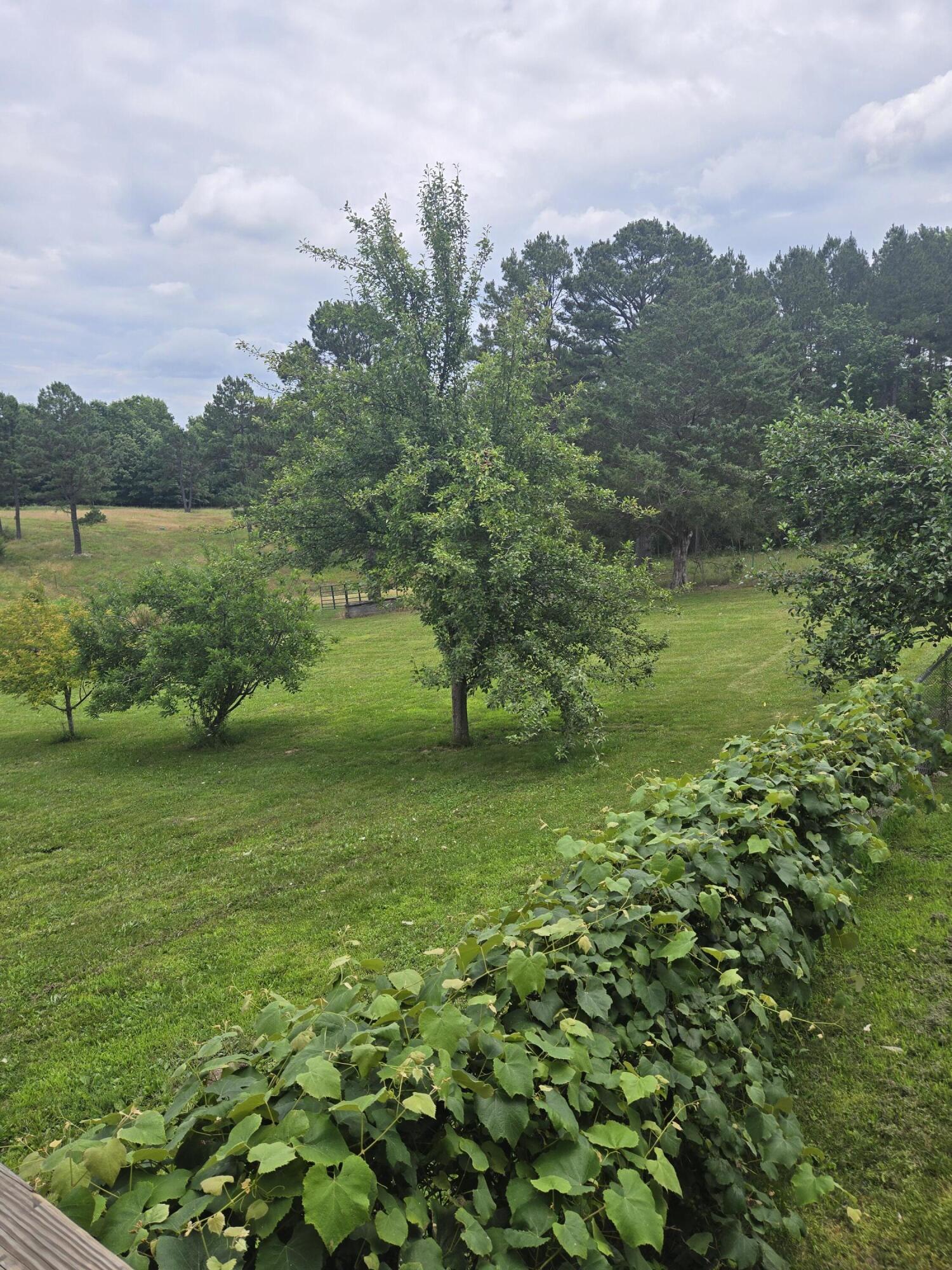 6405 State Route Mm Property Photo 58